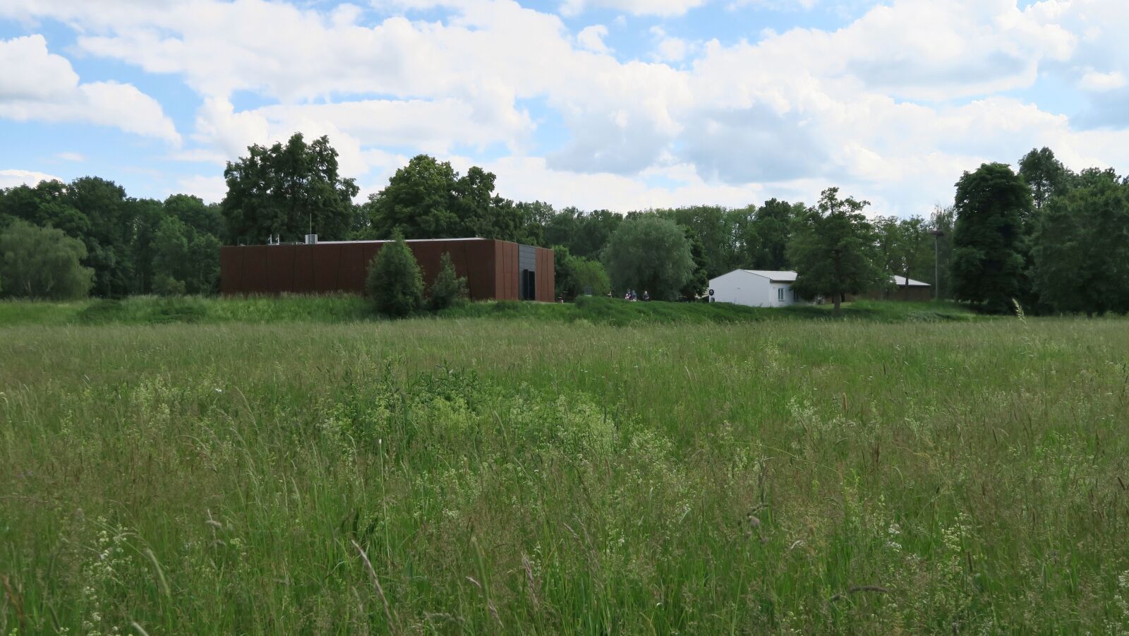 Canon PowerShot G7 X sample photo
