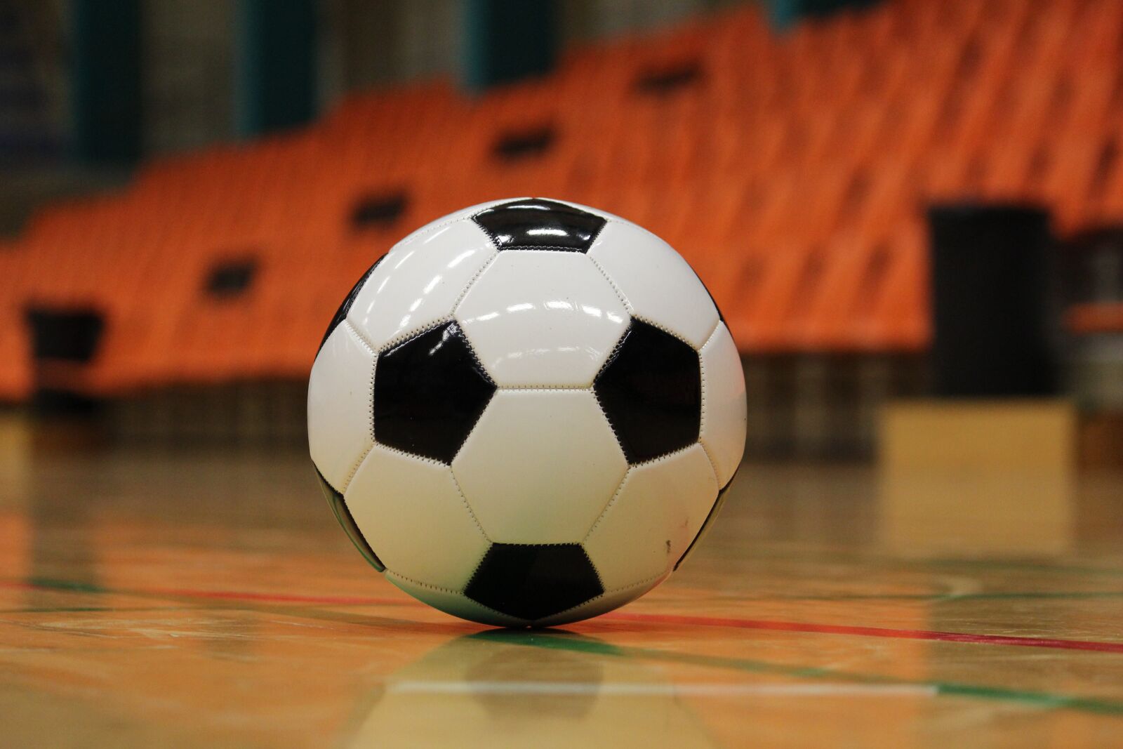 Canon EOS 600D (Rebel EOS T3i / EOS Kiss X5) sample photo. Ball, soccer, training photography