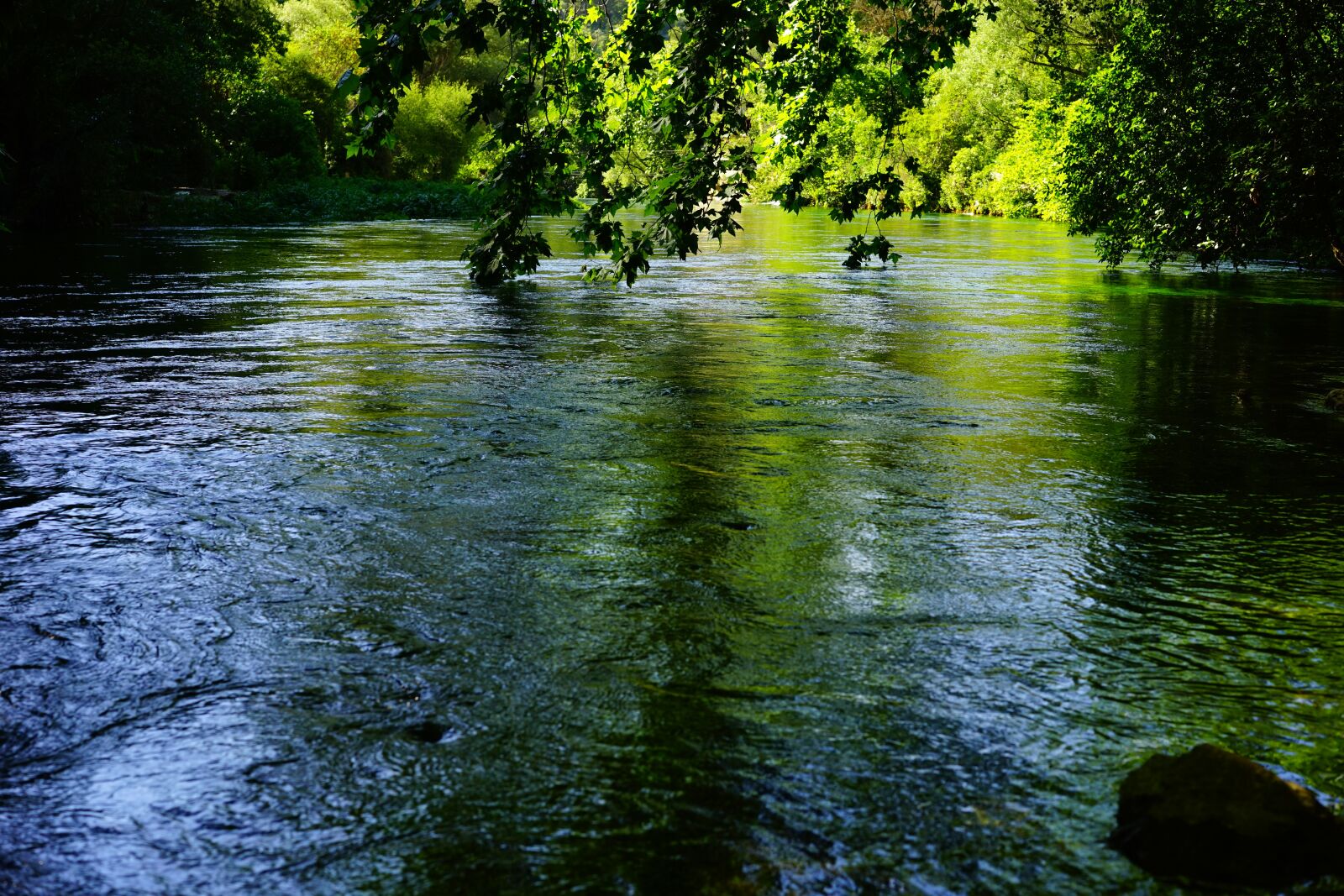 Sony a7 + Sony Sonnar T* FE 55mm F1.8 ZA sample photo. Sorgue, water, clear photography
