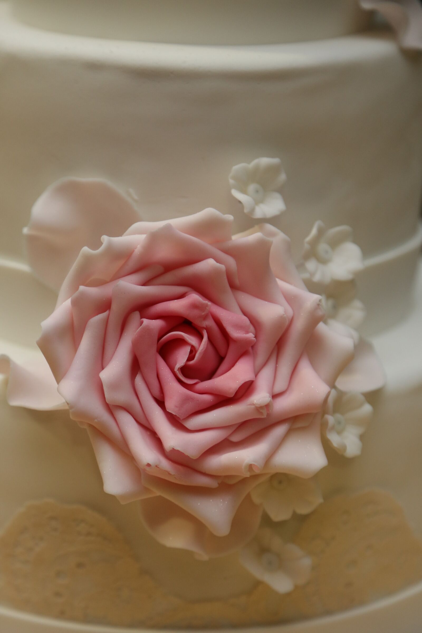 Canon EF 24-105mm F4L IS USM sample photo. Cake, wedding cake, white photography