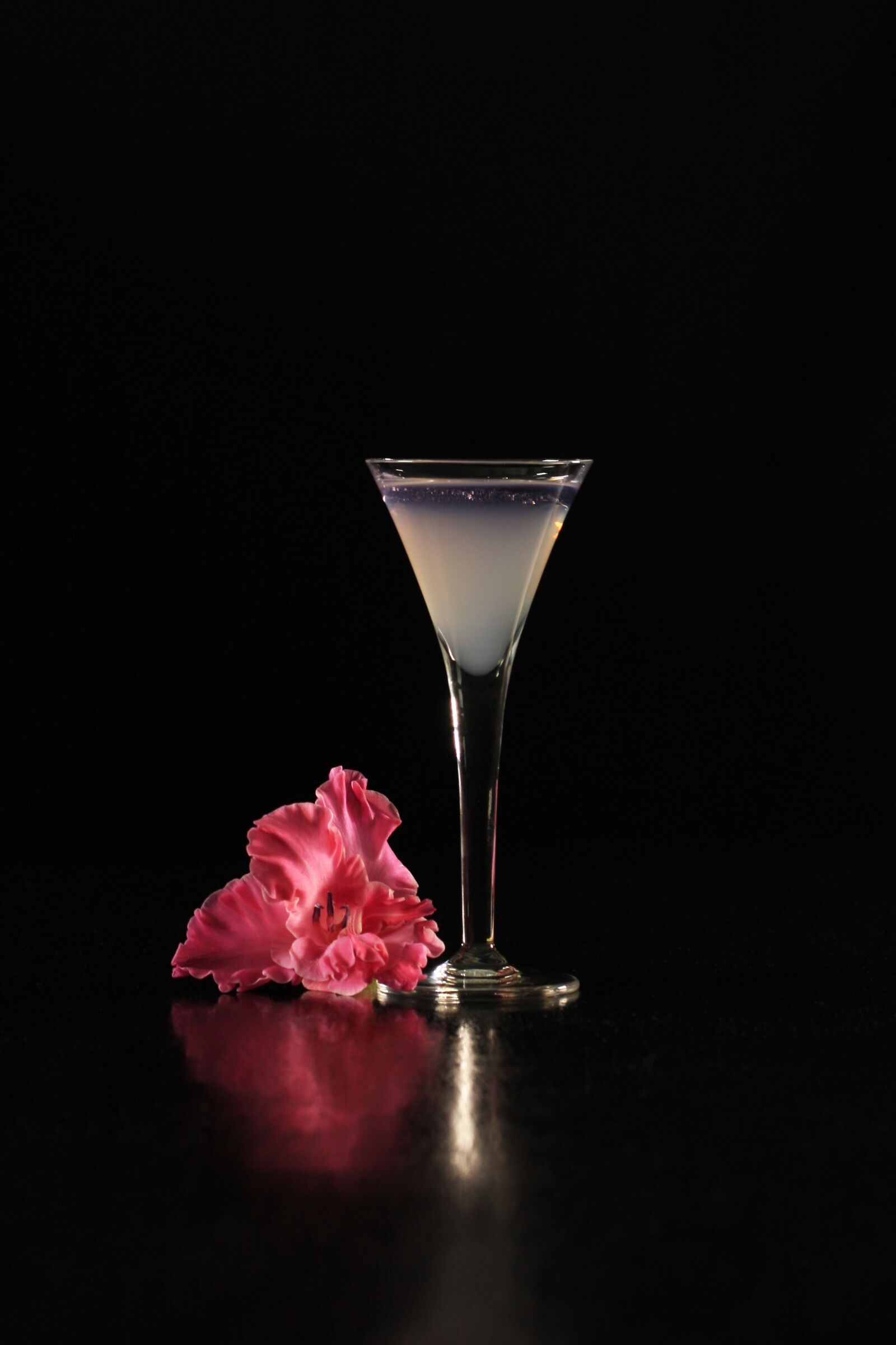 Canon EOS 40D sample photo. Martini, cocktail, alcohol photography