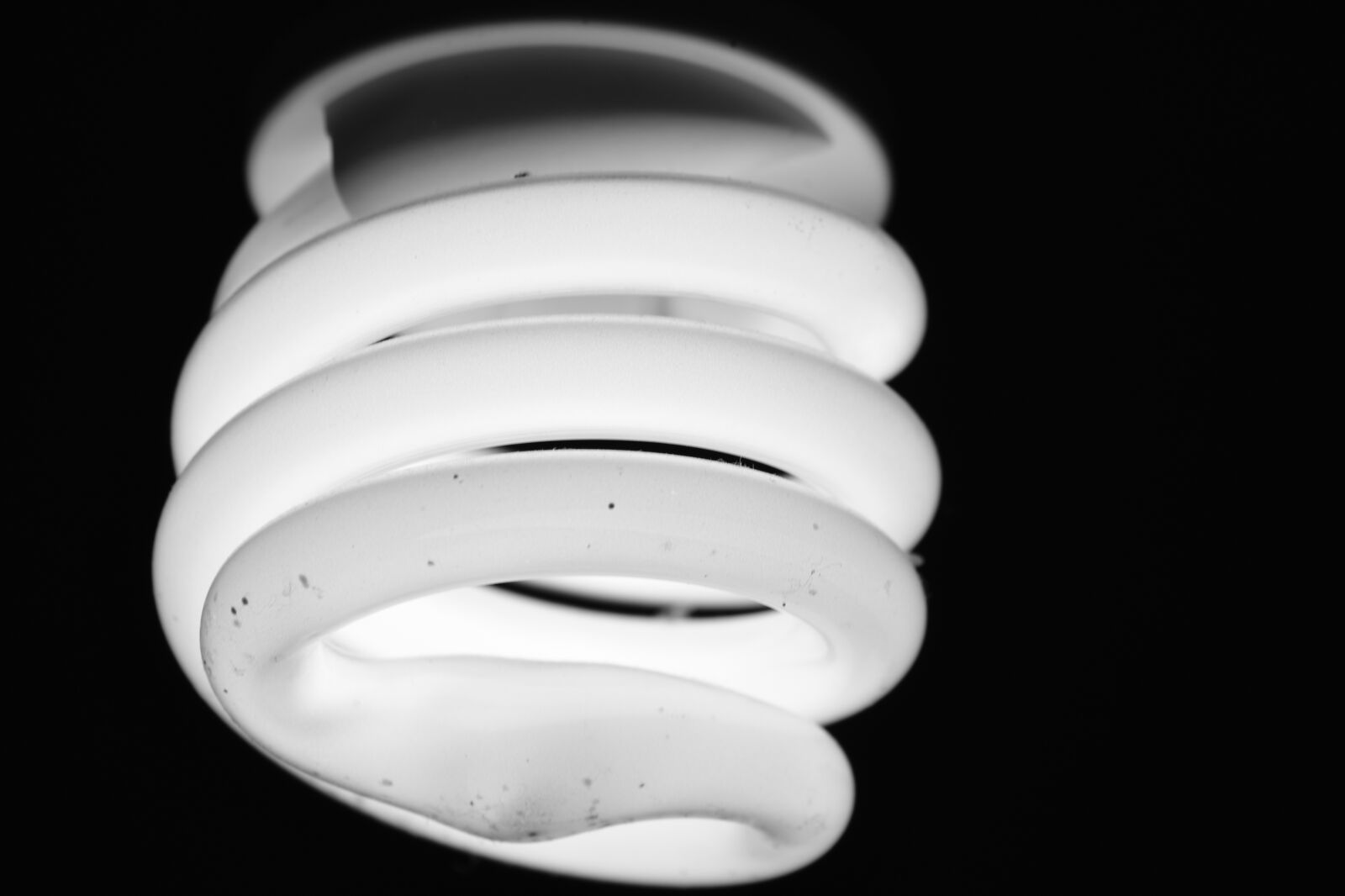 Nikon D750 sample photo. Light bulbs, lamp, macro photography