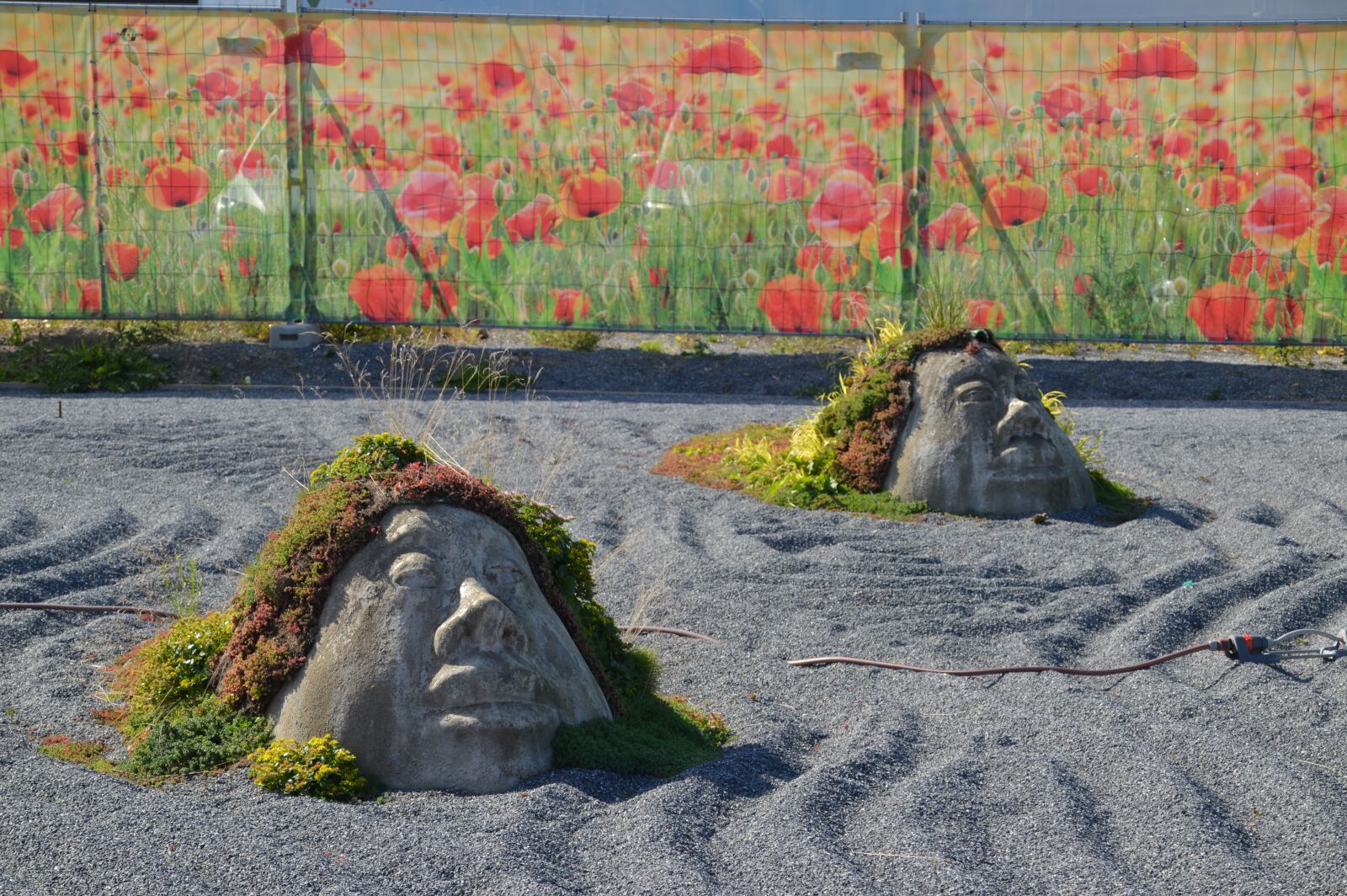 Nikon D3200 sample photo. Art, stones, veil flowers photography