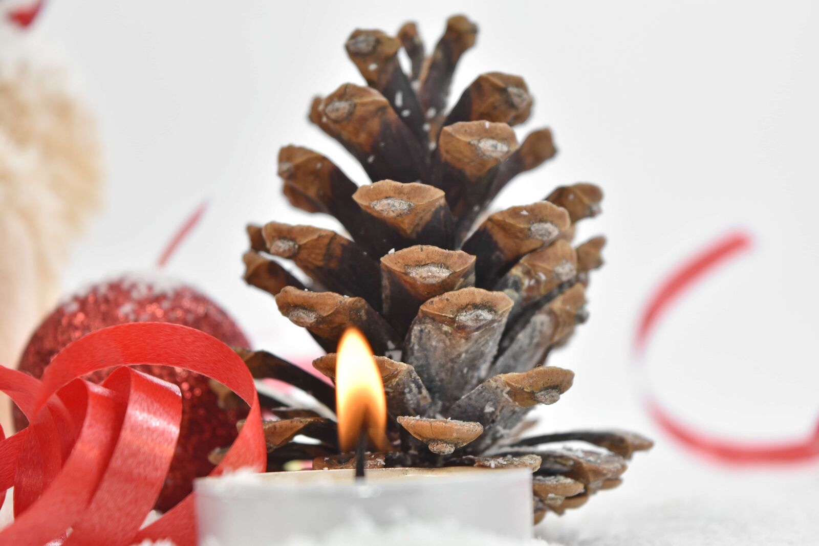 Nikon D5500 sample photo. Candle, candlelight, christmas, conifer photography