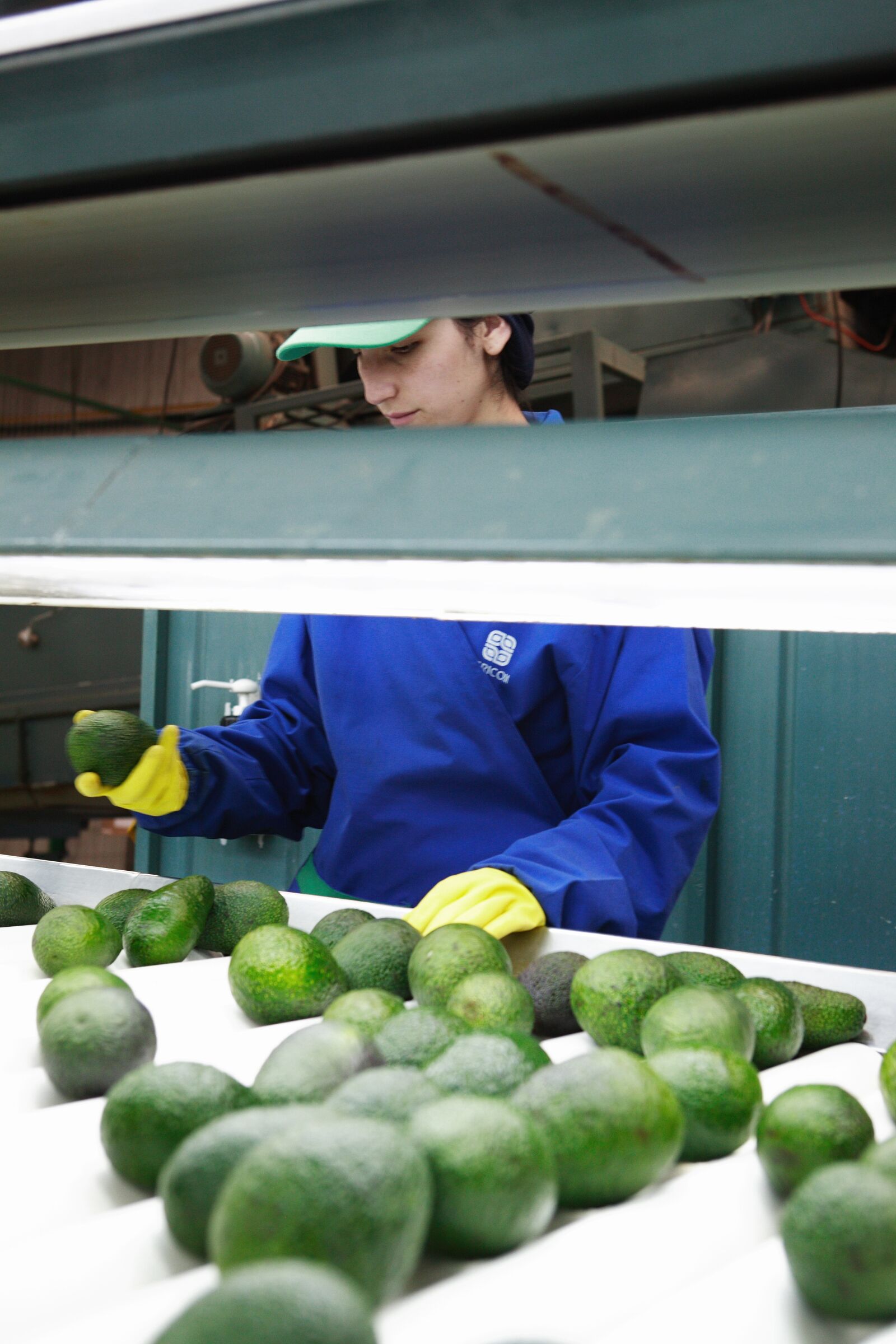 Canon EOS 5D sample photo. Person, packing, worker photography