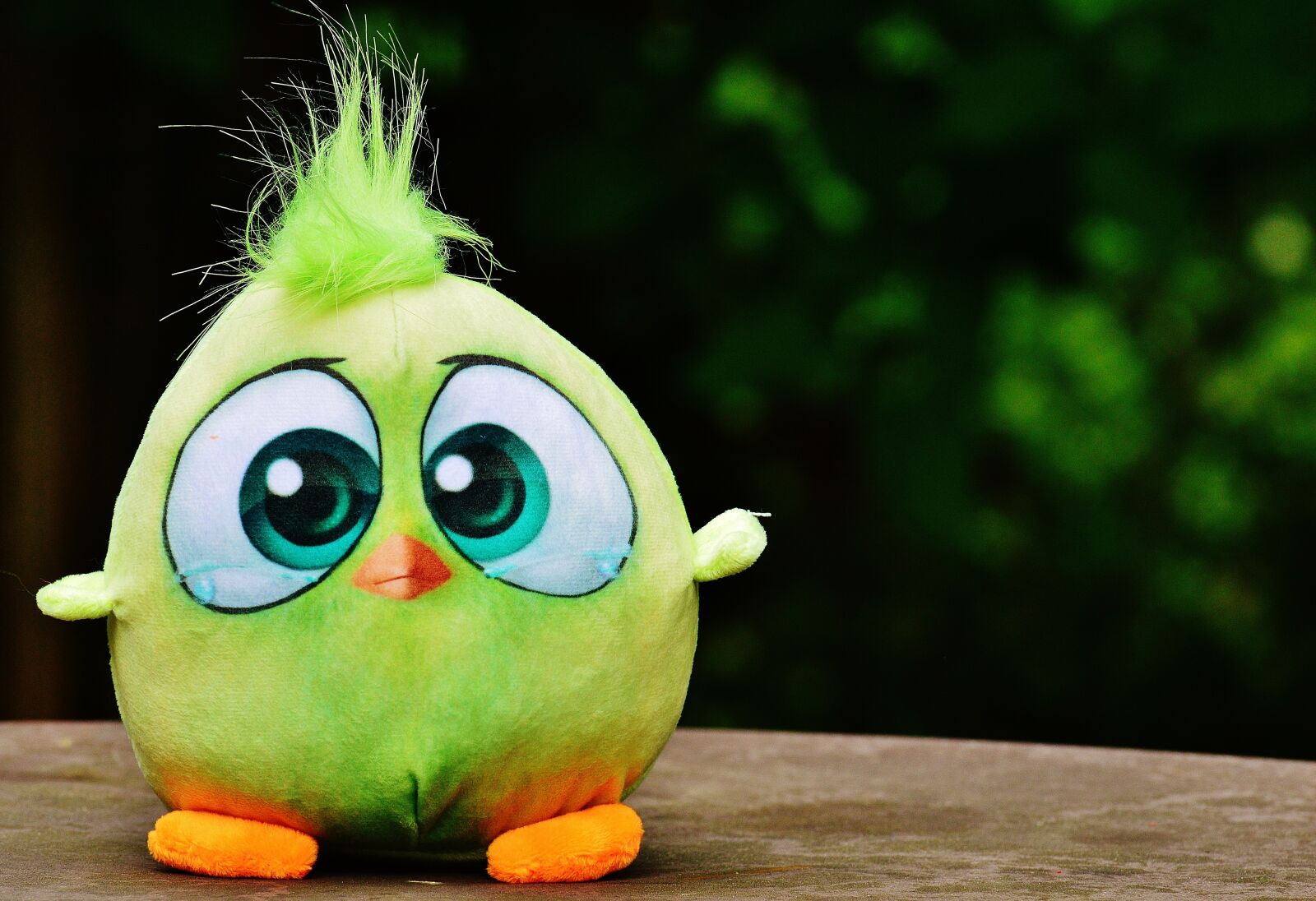 Nikon D3200 sample photo. Bird, birdie, plush photography