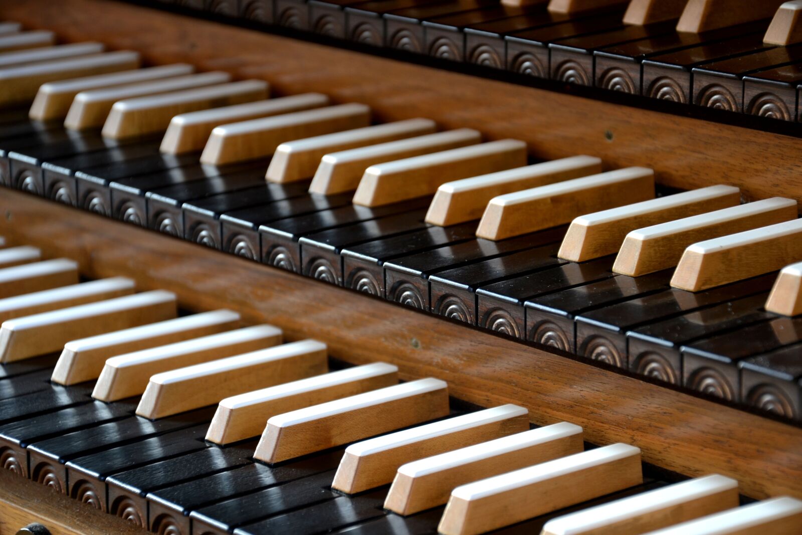 Nikon D3100 sample photo. Organ, church, music photography