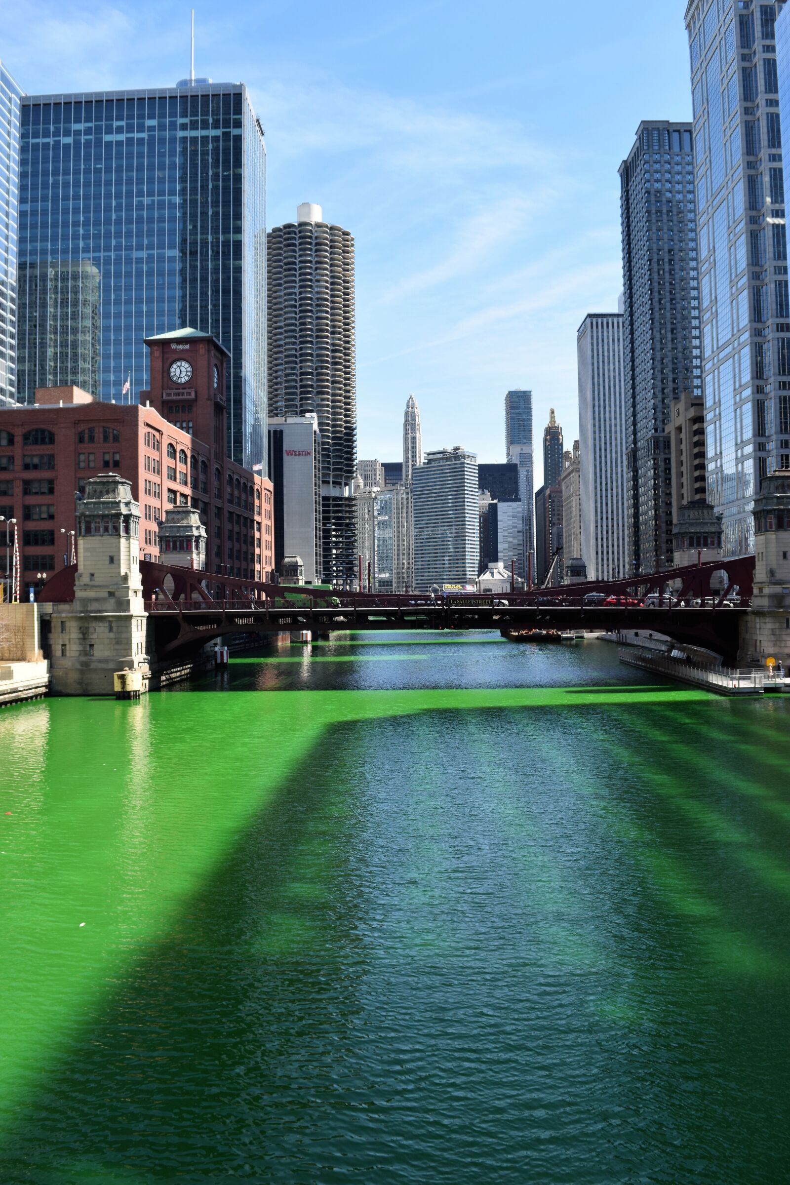Nikon D3300 sample photo. Chicago, river, green photography