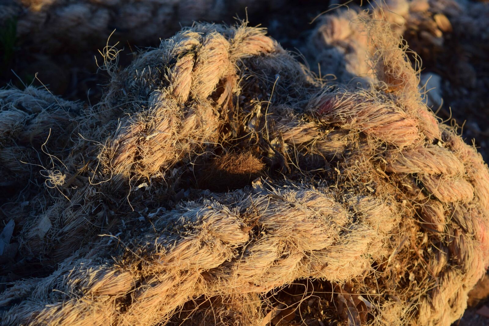 Nikon D3300 sample photo. Knitted, old, brown, rope photography