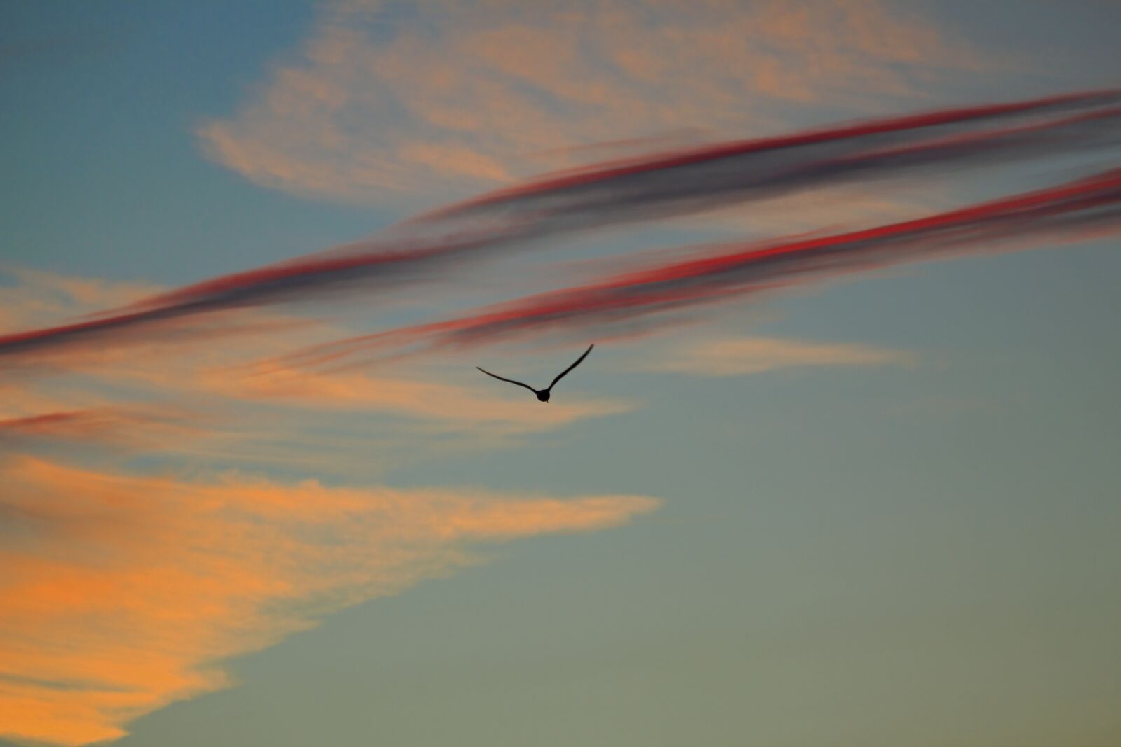 Canon EOS 600D (Rebel EOS T3i / EOS Kiss X5) sample photo. Sunset, evening sky, sky photography
