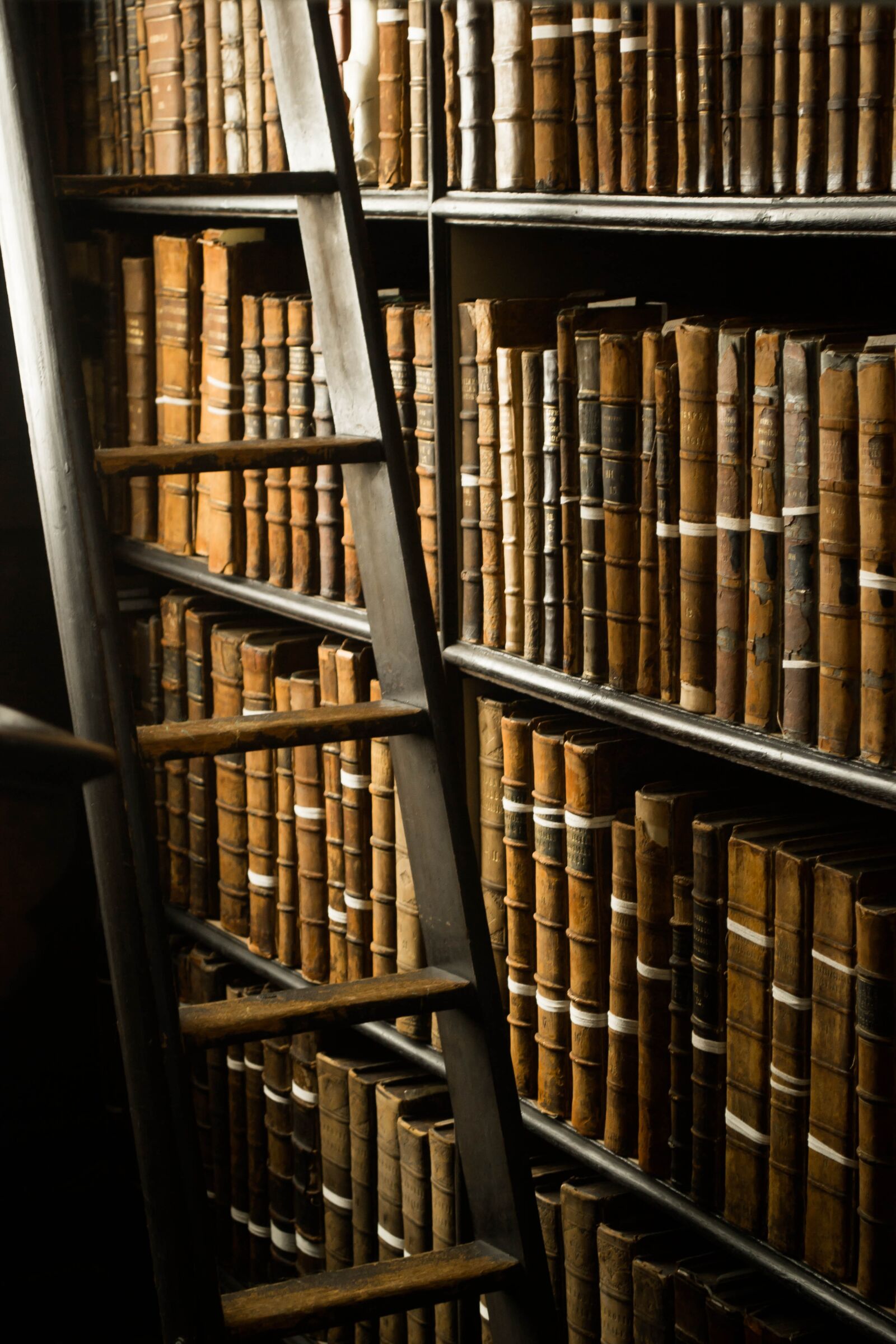 Nikon D3100 sample photo. Books, library, dublin photography