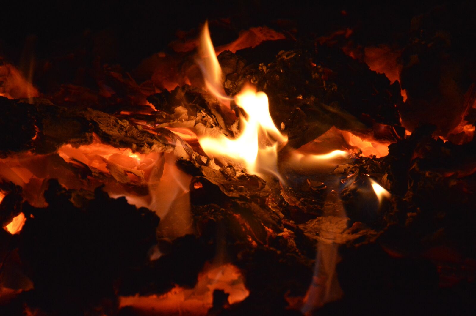 Nikon D3200 sample photo. Embers, fire, flame photography