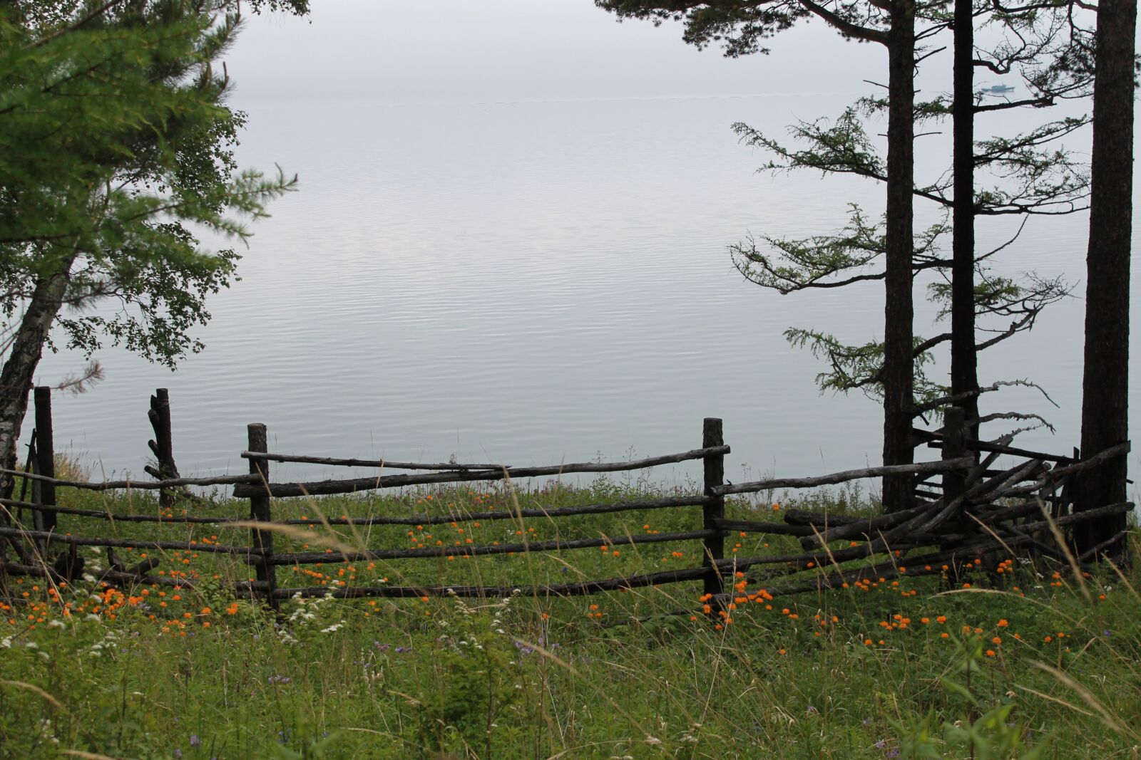 Canon EOS 1100D (EOS Rebel T3 / EOS Kiss X50) sample photo. Baikal, summer in the photography
