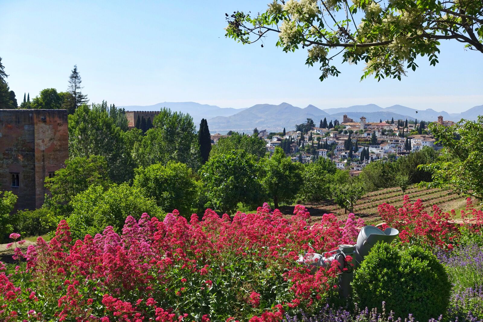 Sony Cyber-shot DSC-RX100 III sample photo. Flowers, alhambra, garden photography