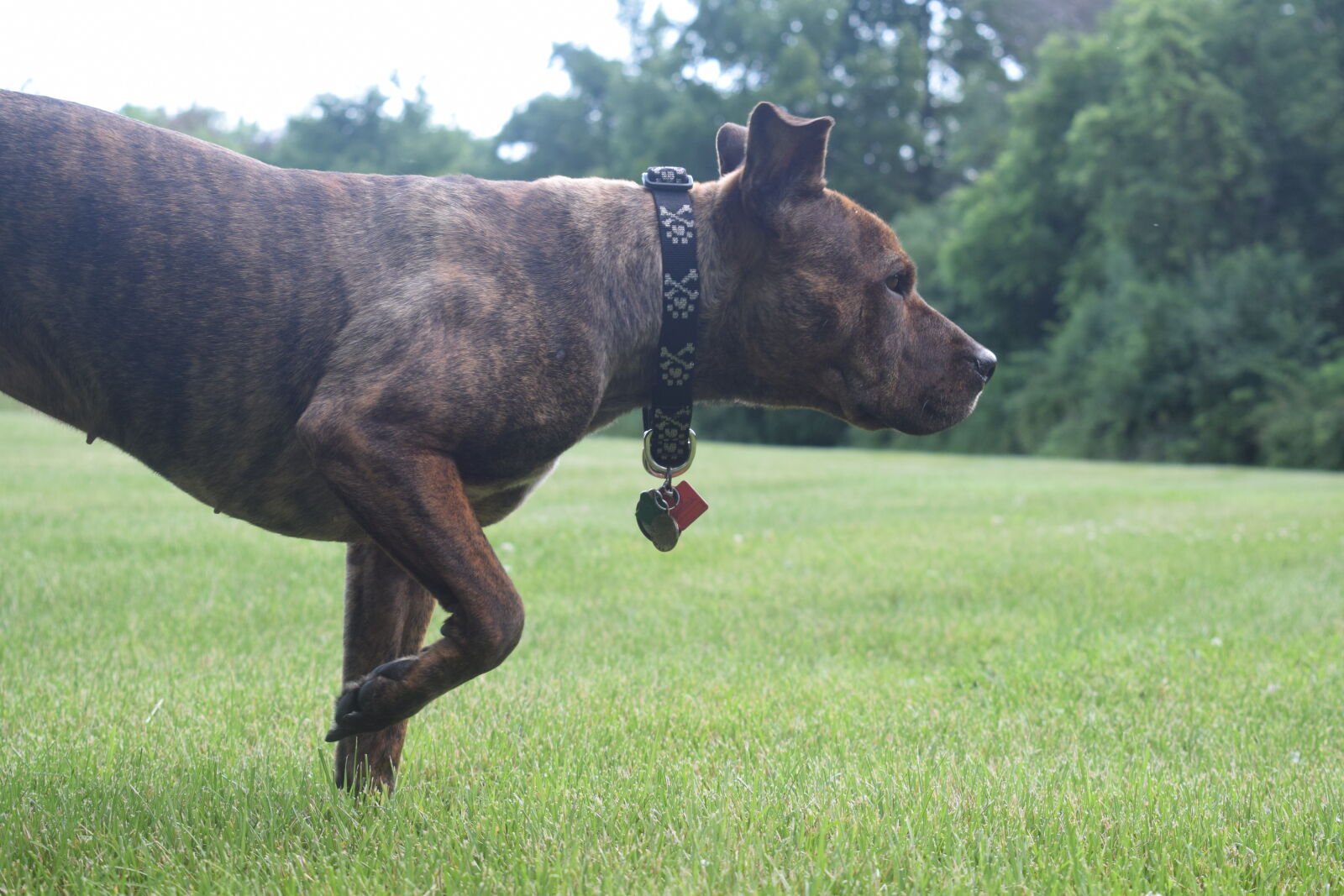 Nikon D3300 sample photo