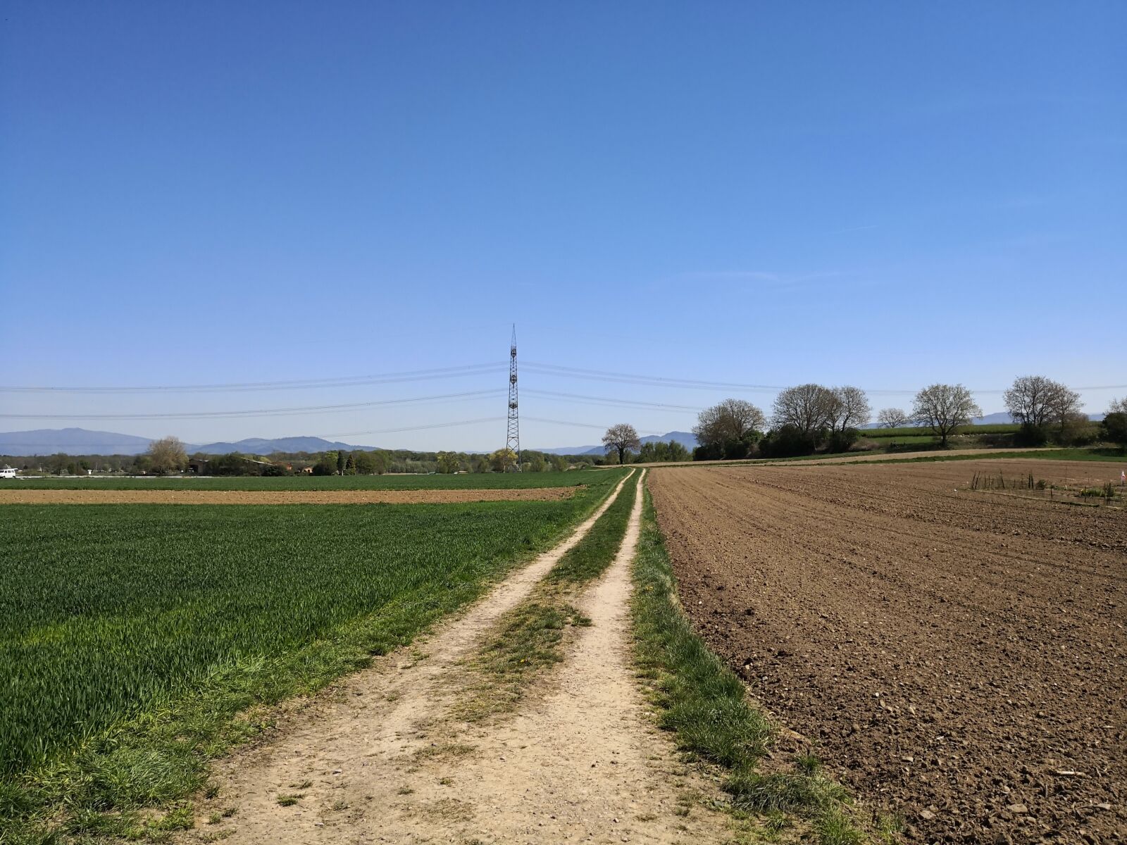 HUAWEI Mate 10 Pro sample photo. Agriculture, farm, field photography