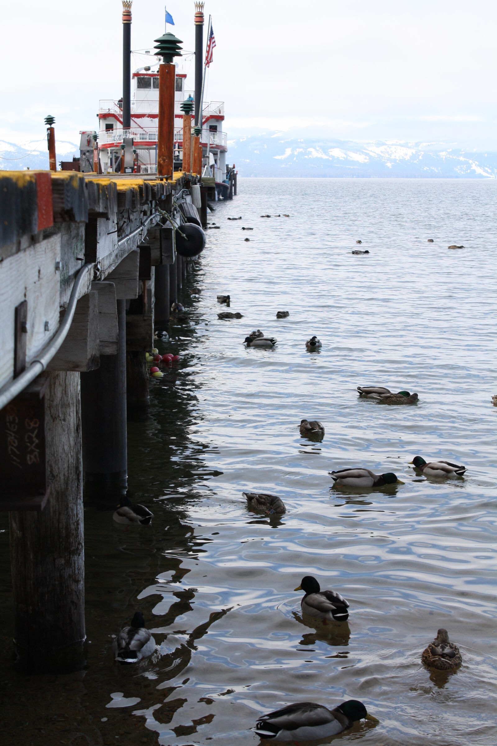 Canon EOS 1000D (EOS Digital Rebel XS / EOS Kiss F) sample photo. Boat, duck, lake, mountain photography