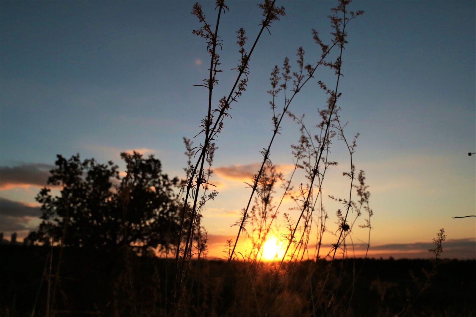 Canon EF 24-105mm F4L IS USM sample photo. Sunset, in the evening photography