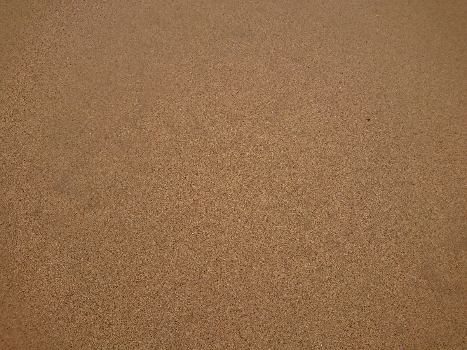 Sony Xperia XZ Premium sample photo. Sand, beach, nature photography
