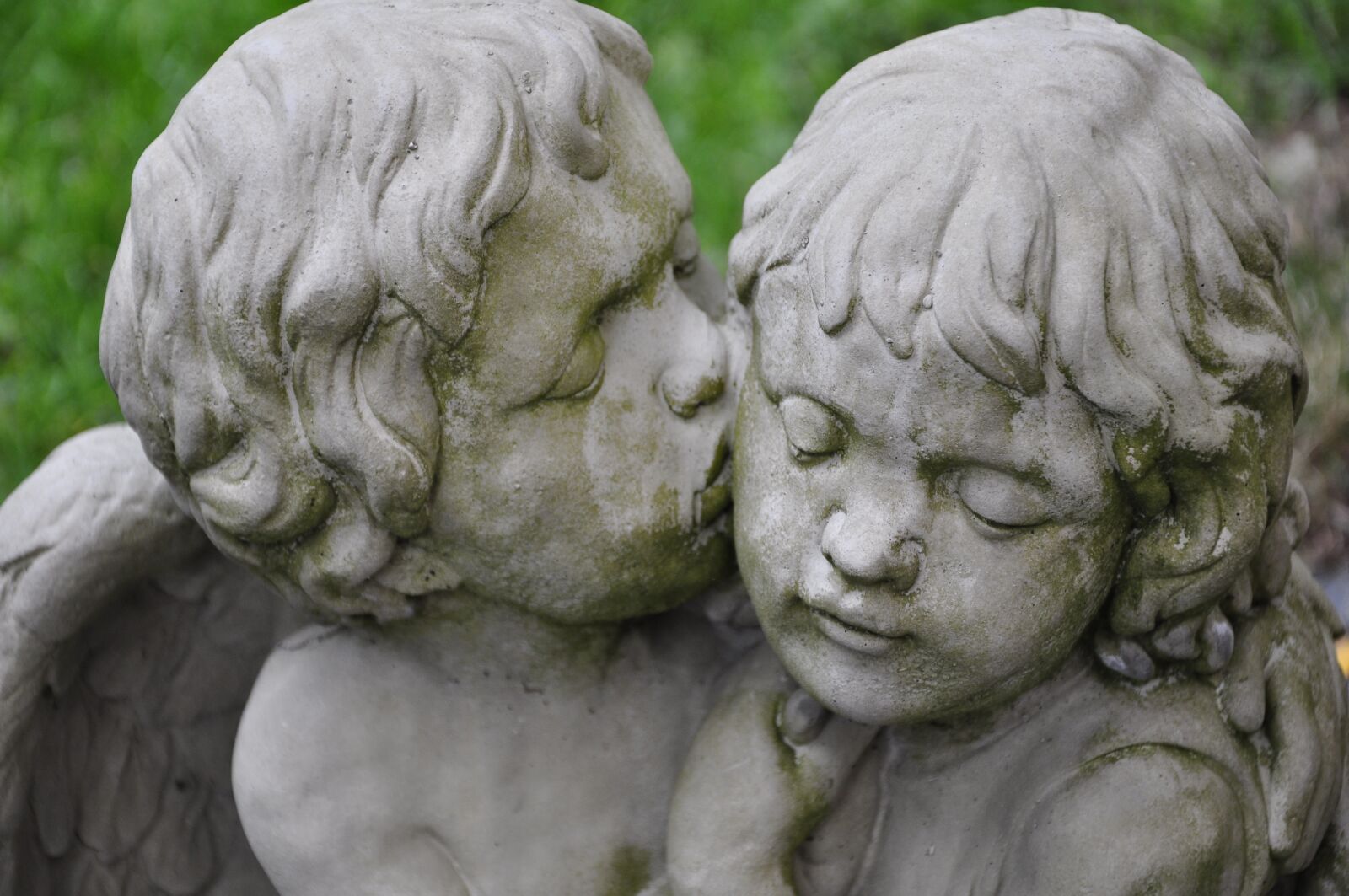 Nikon D5000 sample photo. Angel, kiss, love photography