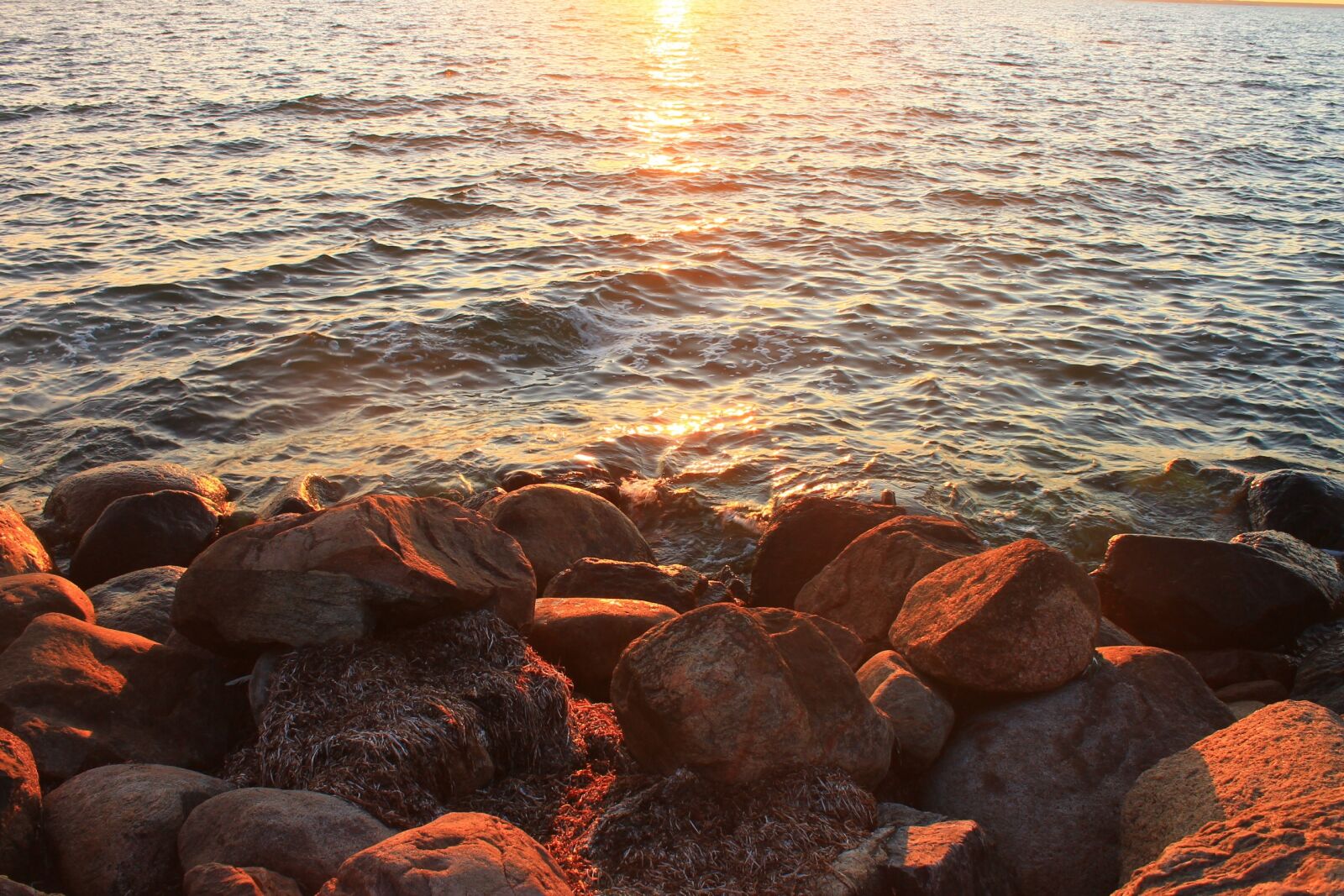 Canon EOS 1100D (EOS Rebel T3 / EOS Kiss X50) sample photo. Baltic sea, sea, sunset photography