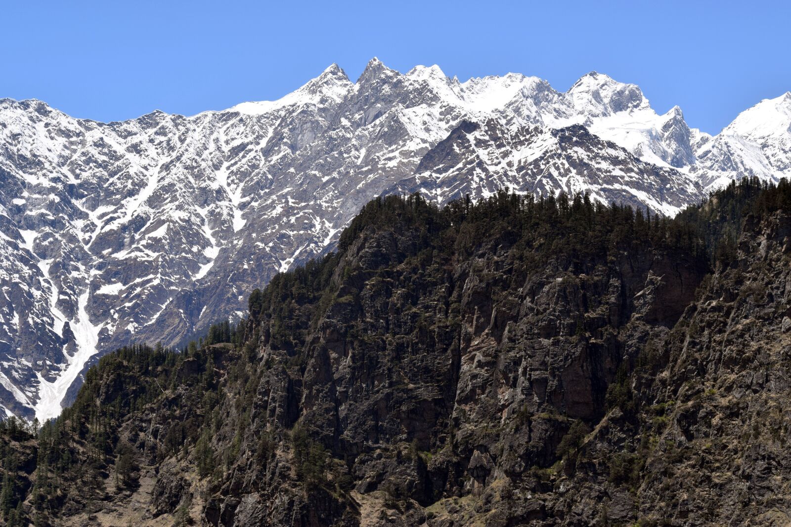 Nikon D3300 sample photo. Mountain, ice, tree photography