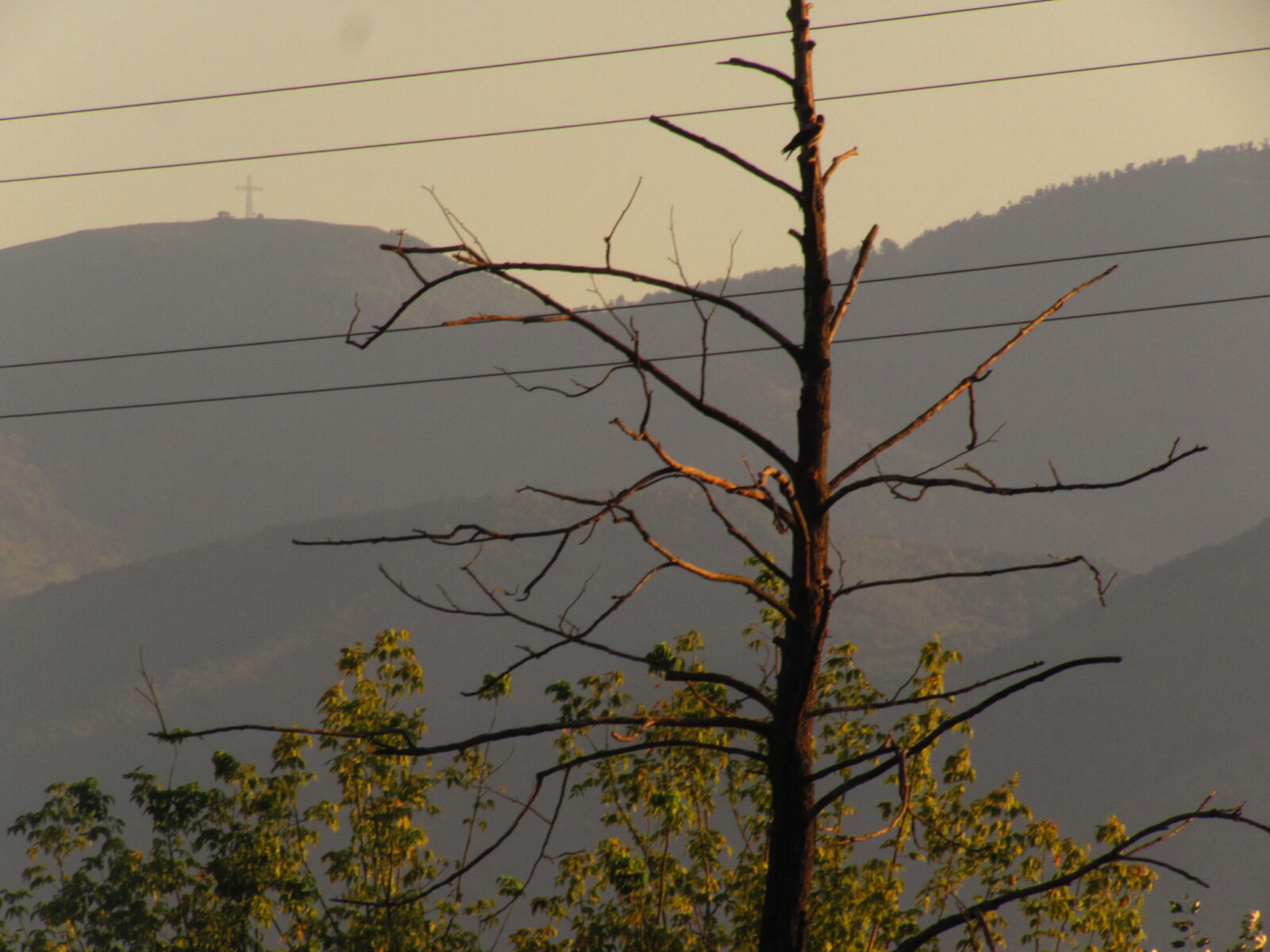 Canon PowerShot SX510 HS sample photo
