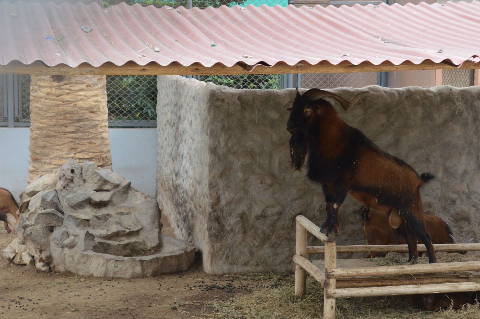 Nikon D3200 sample photo