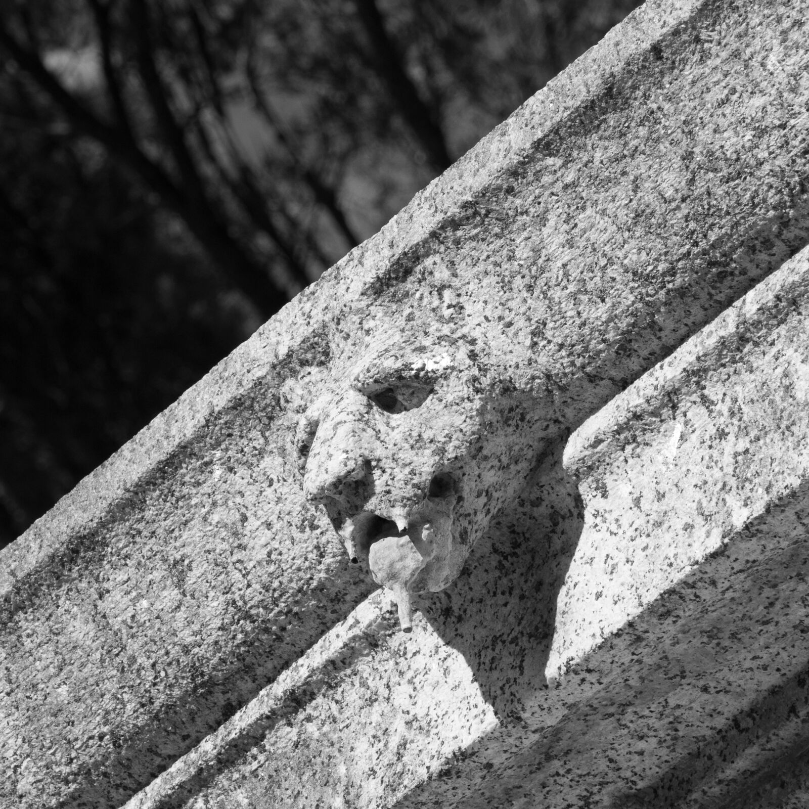 Olympus M.Zuiko Digital ED 12-100mm F4.0 IS Pro sample photo. Gargoyle, old, stone photography