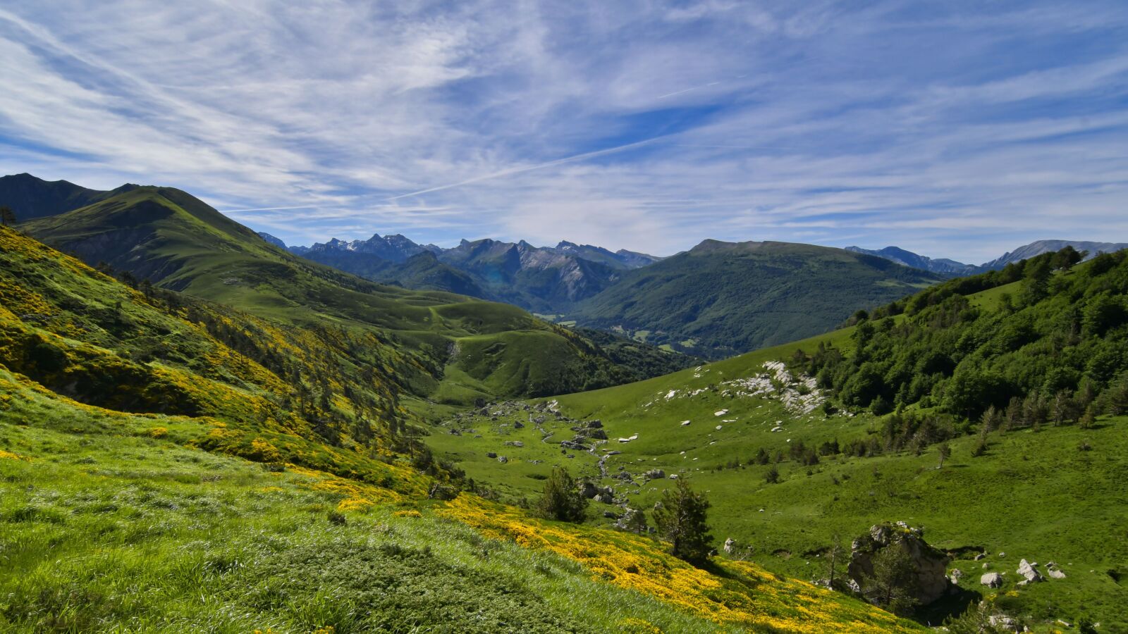 Nikon D500 sample photo. Prairie, mount, flowers photography