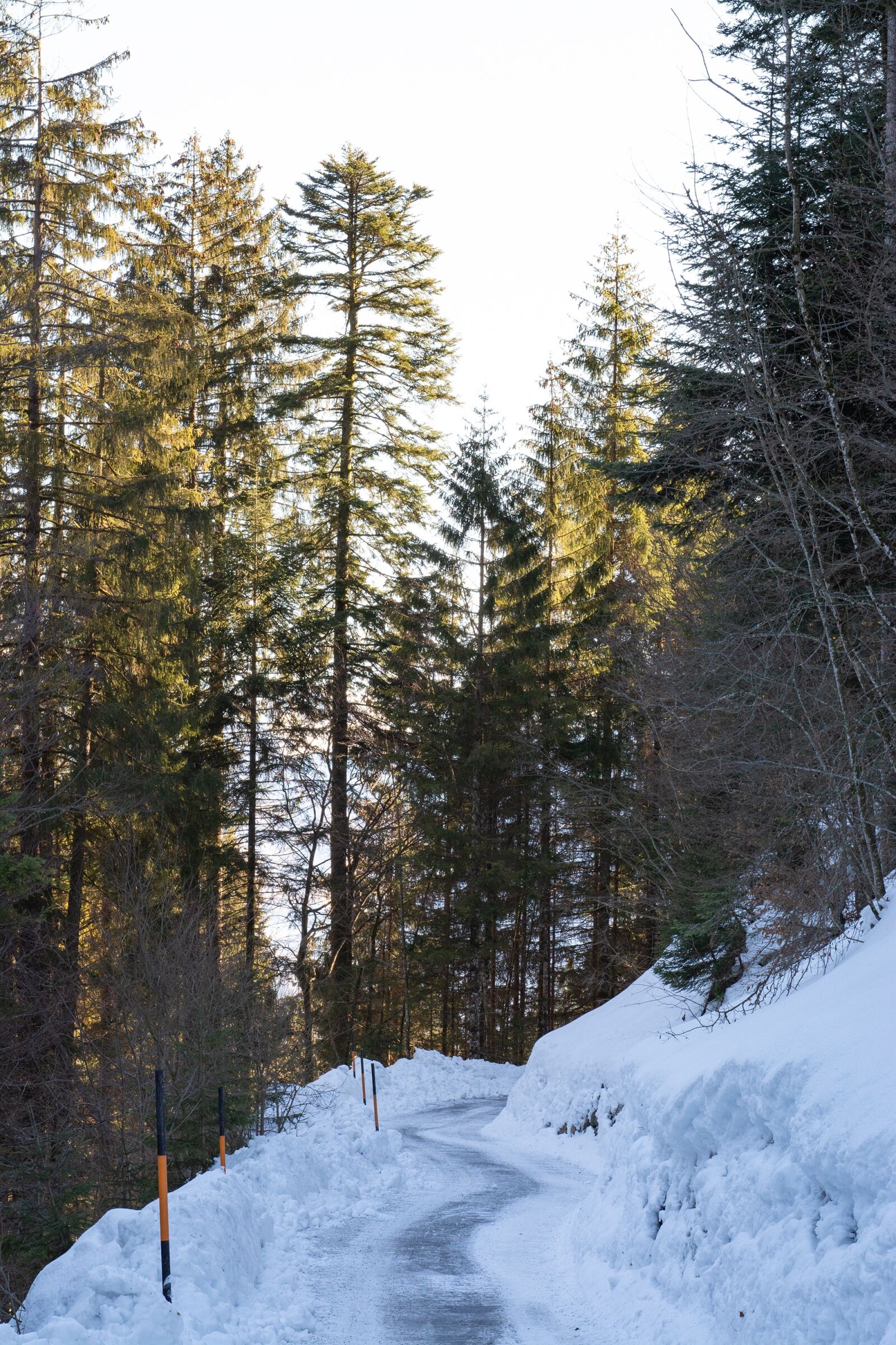 Nikon D7100 sample photo. Away, road, winter photography