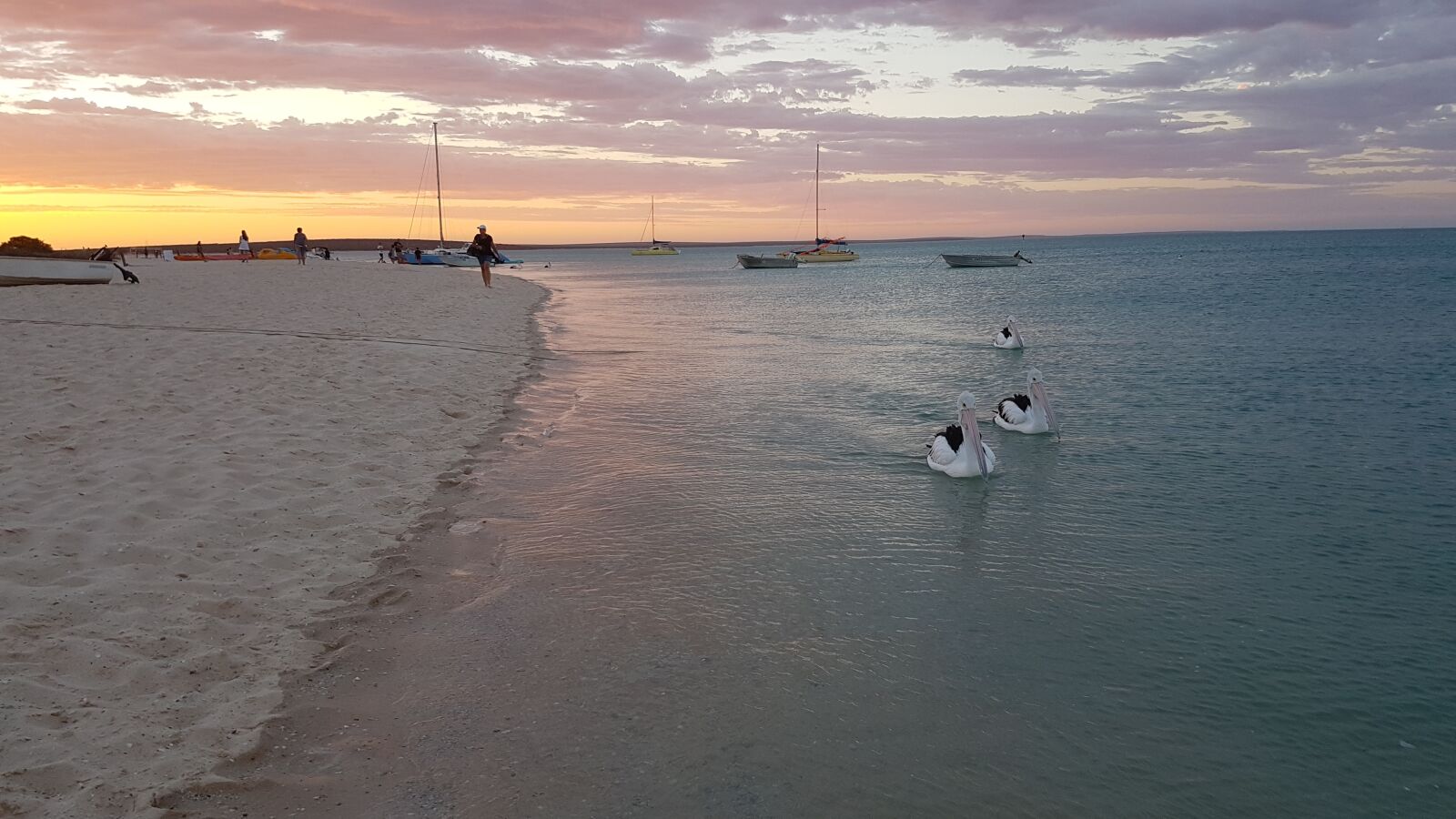 Samsung Galaxy S7 sample photo. Monkey mia, western australia photography