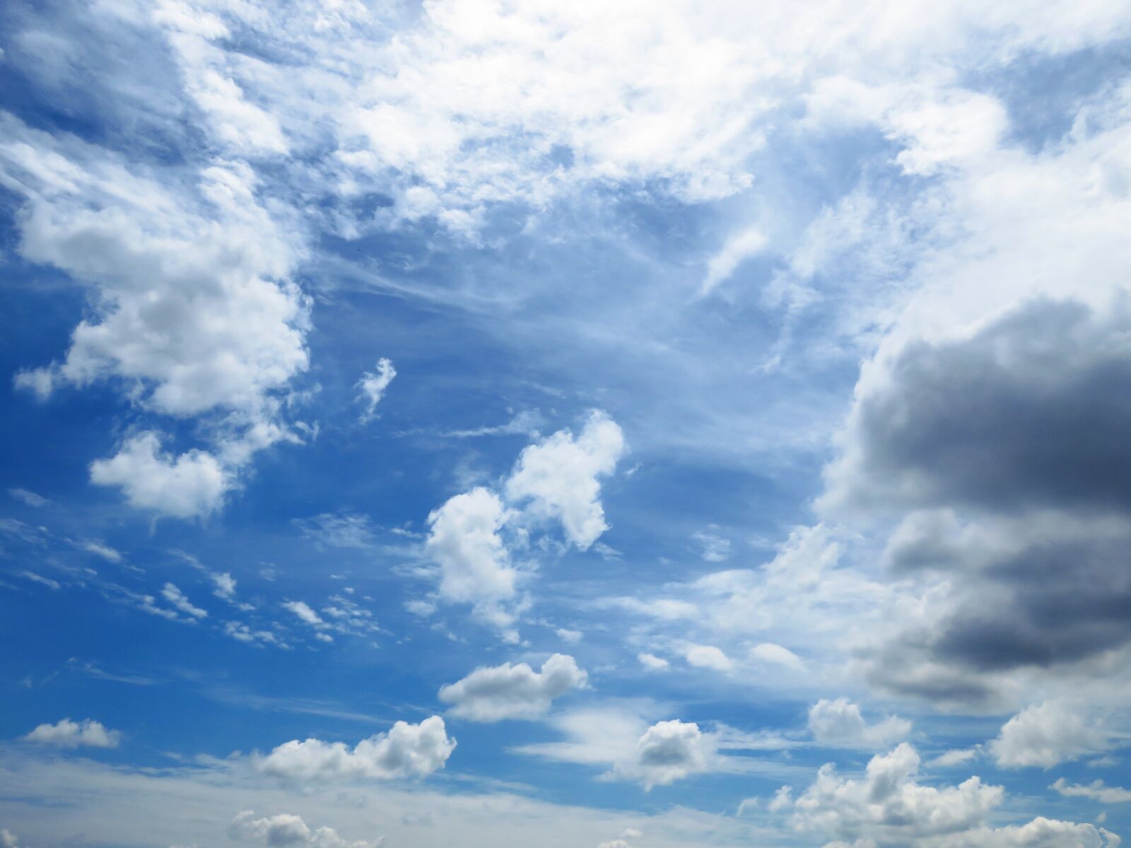 Canon PowerShot SX60 HS sample photo. Sky, blue, wide photography