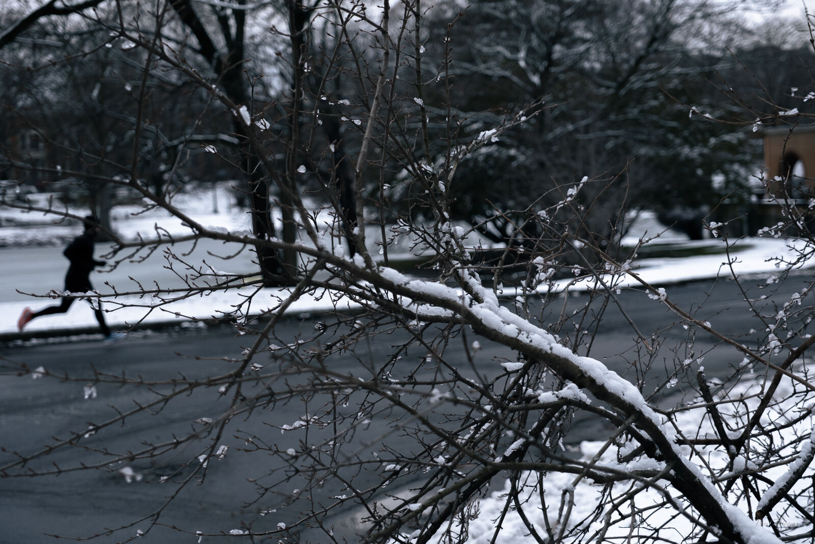 Fujifilm X-T5 sample photo