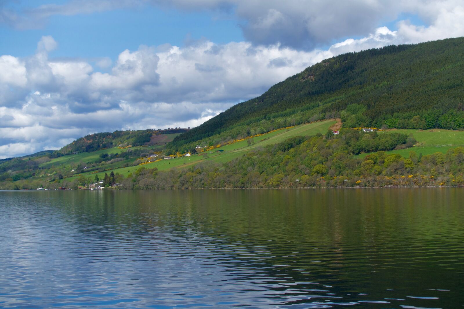 Sony 24-70mm F1.8-2.8 sample photo. Lake, loch, ness, nature photography