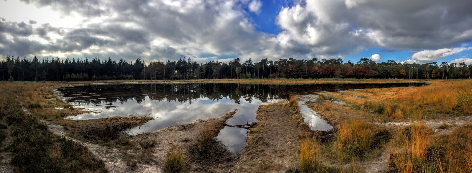 Apple iPhone 6 sample photo. Mast, forest, breda photography