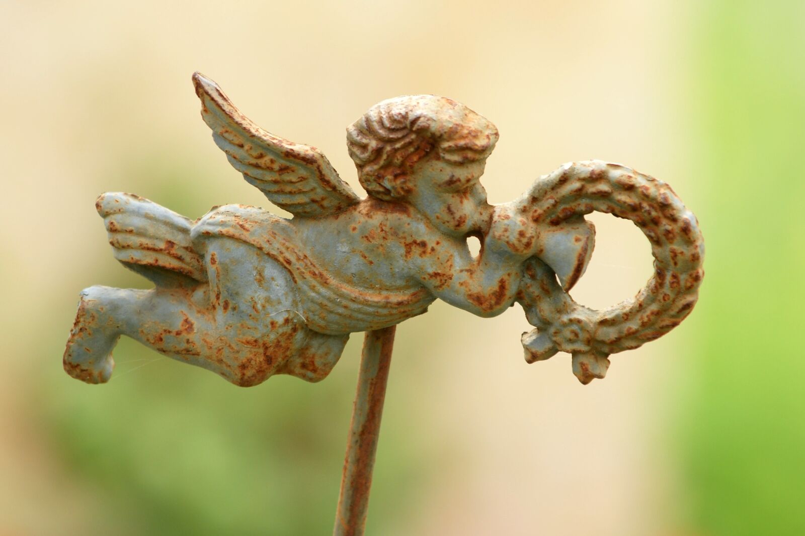 Sony Alpha DSLR-A700 sample photo. Angel, angel figure, contemplative photography