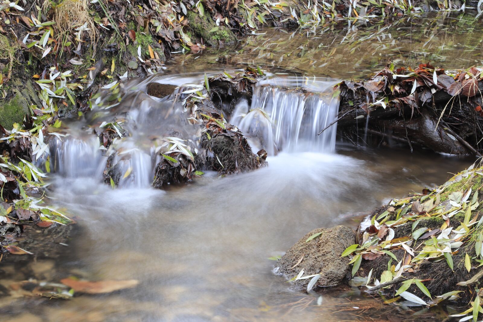 Canon EOS 77D (EOS 9000D / EOS 770D) + Canon EF 24-105mm F4L IS USM sample photo. Water, fluent, creek photography