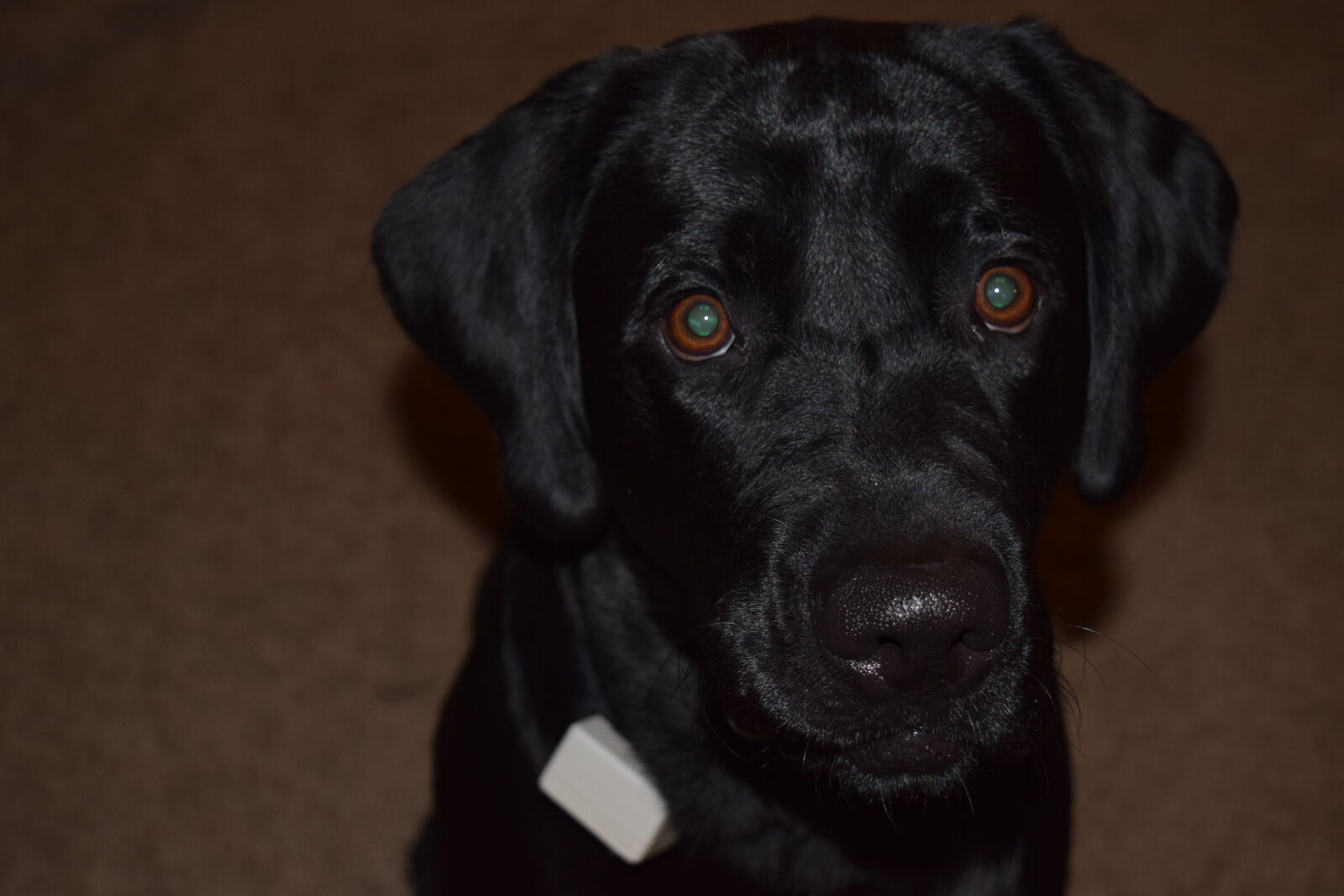 Nikon D3300 sample photo