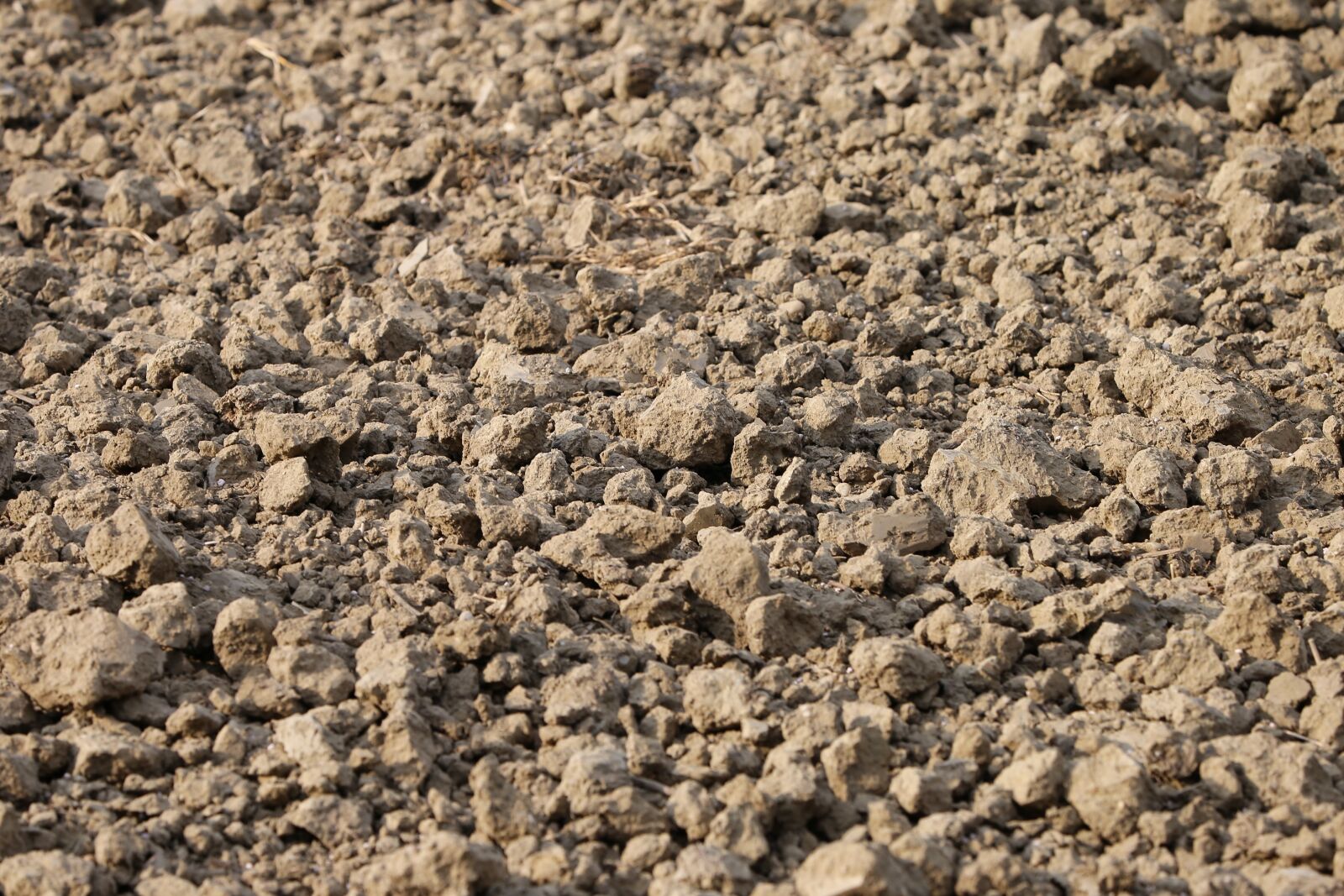 Canon EF 70-300 F4-5.6 IS II USM sample photo. Earth, soil, ground photography