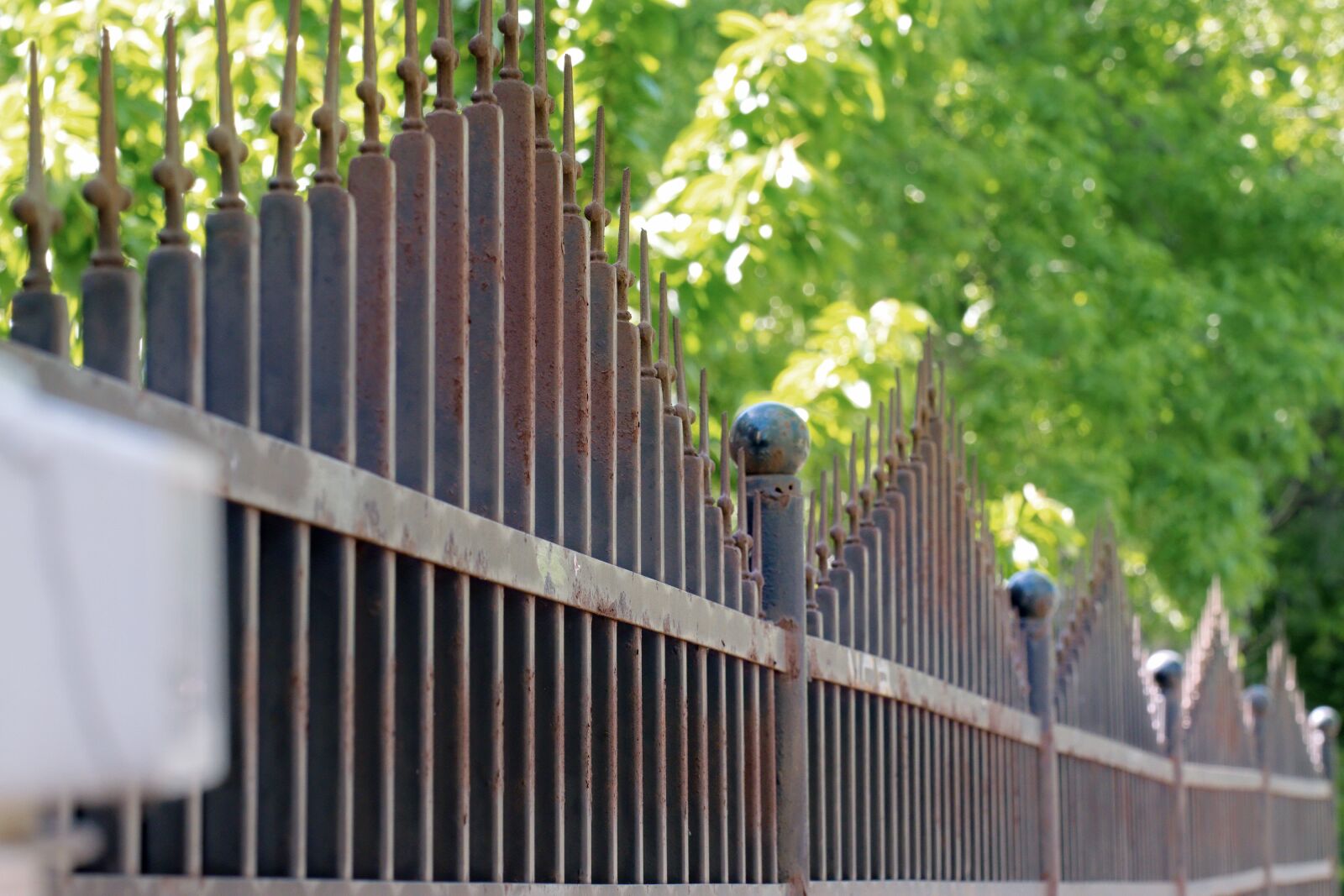 Nikon D5300 sample photo. Metal fence, yard, trees photography
