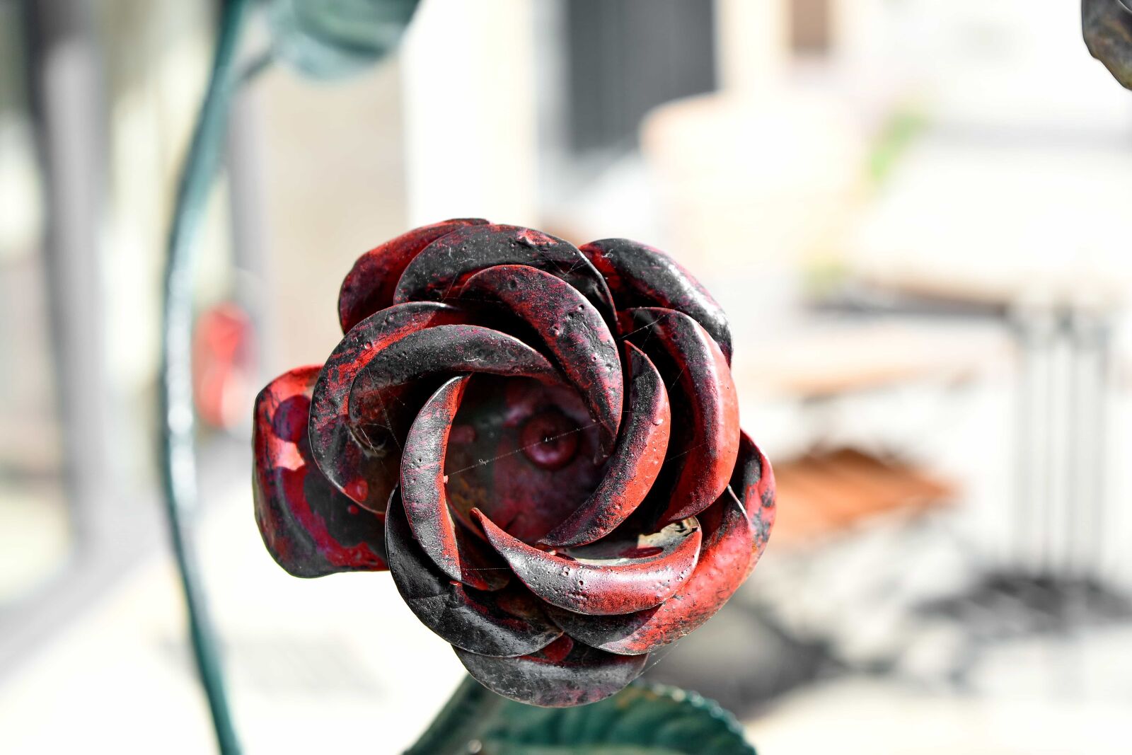 Nikon D5500 sample photo. Artistic, cast iron, petal photography
