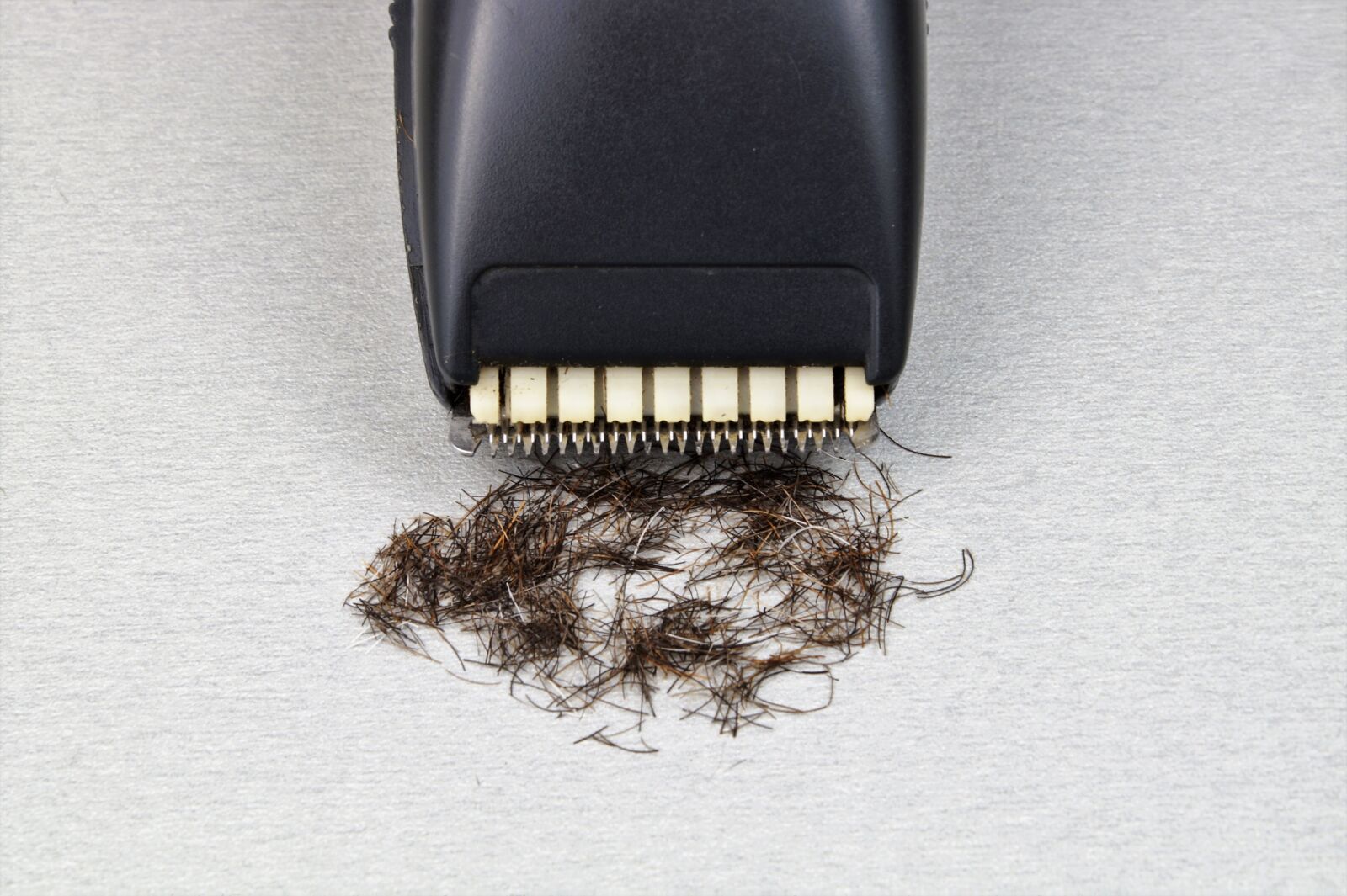 Sony DT 18-70mm F3.5-5.6 sample photo. Razor, the long-hair cutter photography