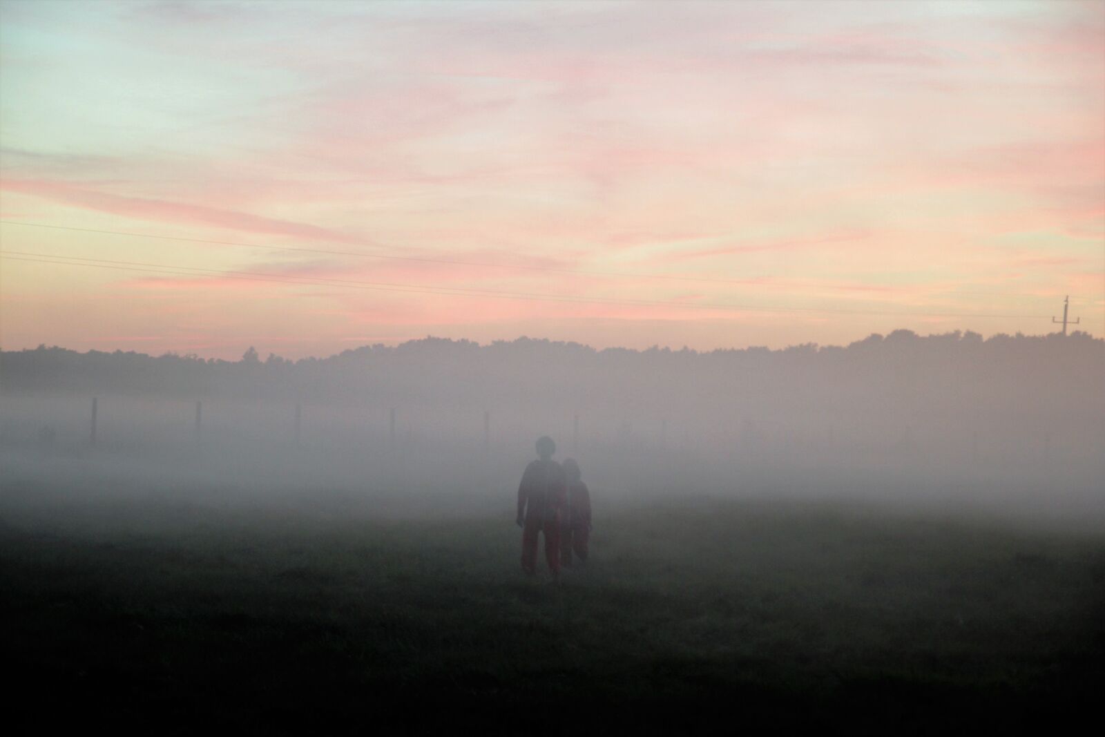 Canon EOS 600D (Rebel EOS T3i / EOS Kiss X5) sample photo. The fog, meadow, evening photography
