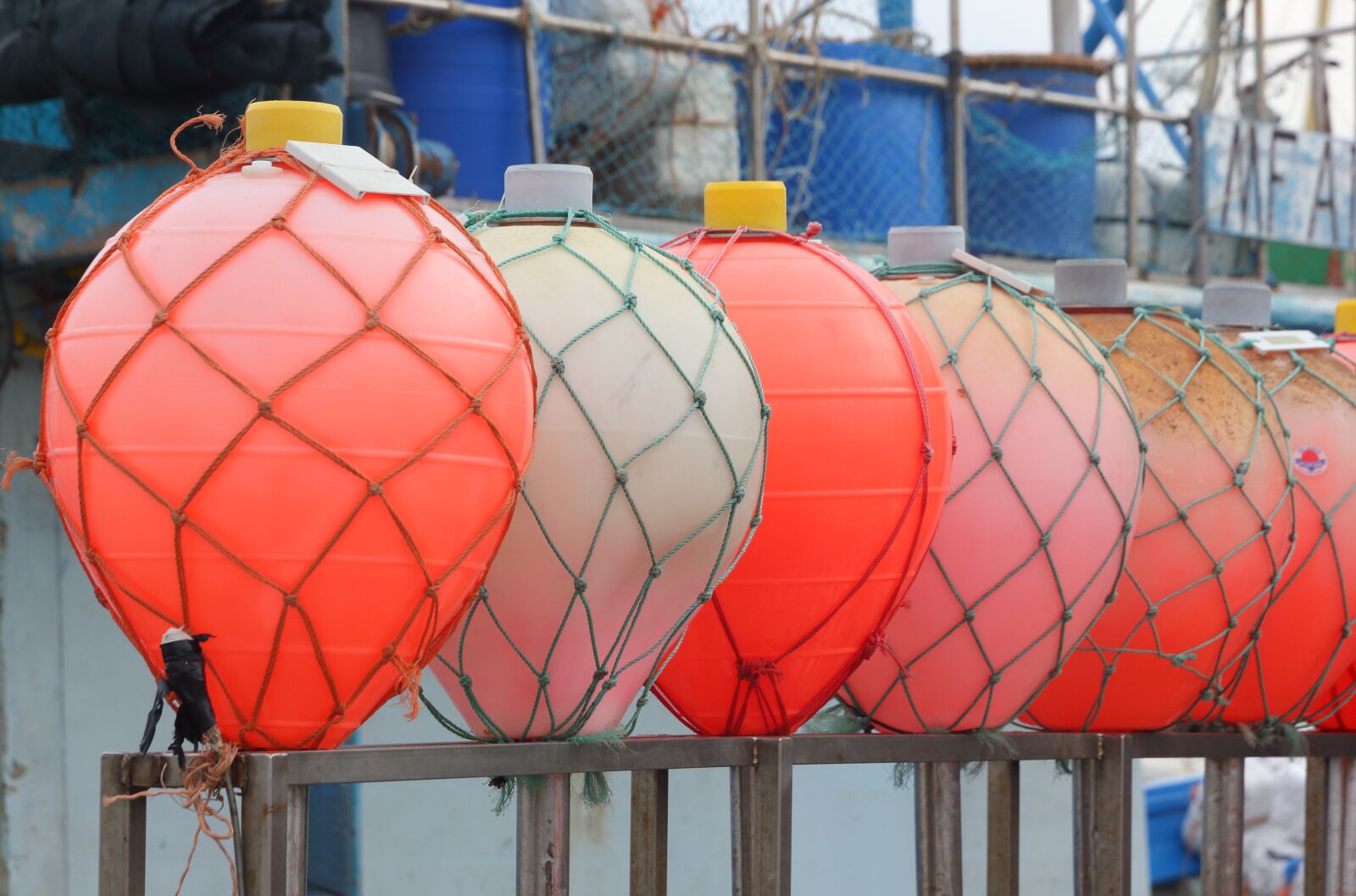 Canon EOS 550D (EOS Rebel T2i / EOS Kiss X4) sample photo. Malta, marsaxlokk, fishing photography