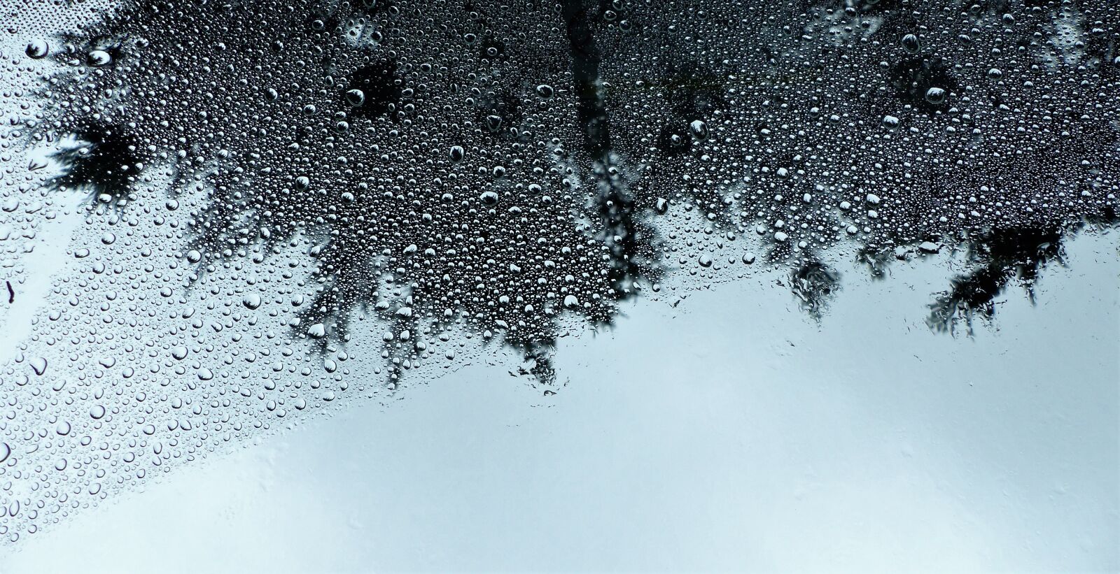 Panasonic Lumix DMC-FZ200 sample photo. No person, spring, rain photography
