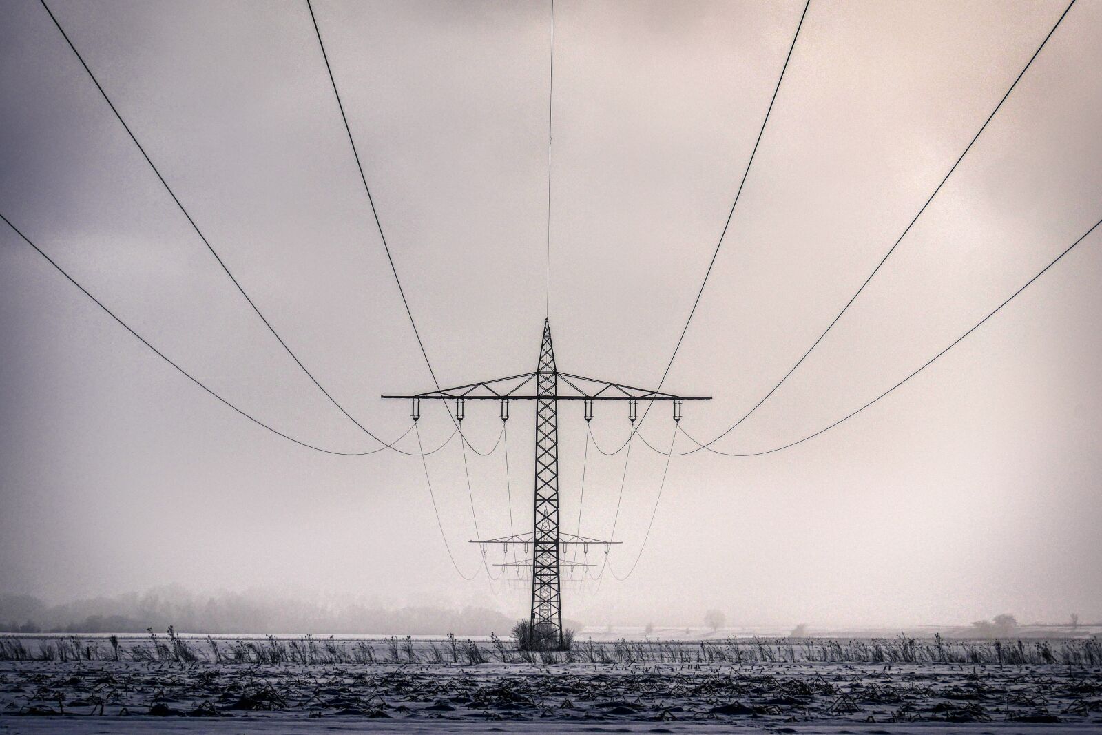 Panasonic Lumix DMC-GX8 sample photo. Winter, current, power line photography