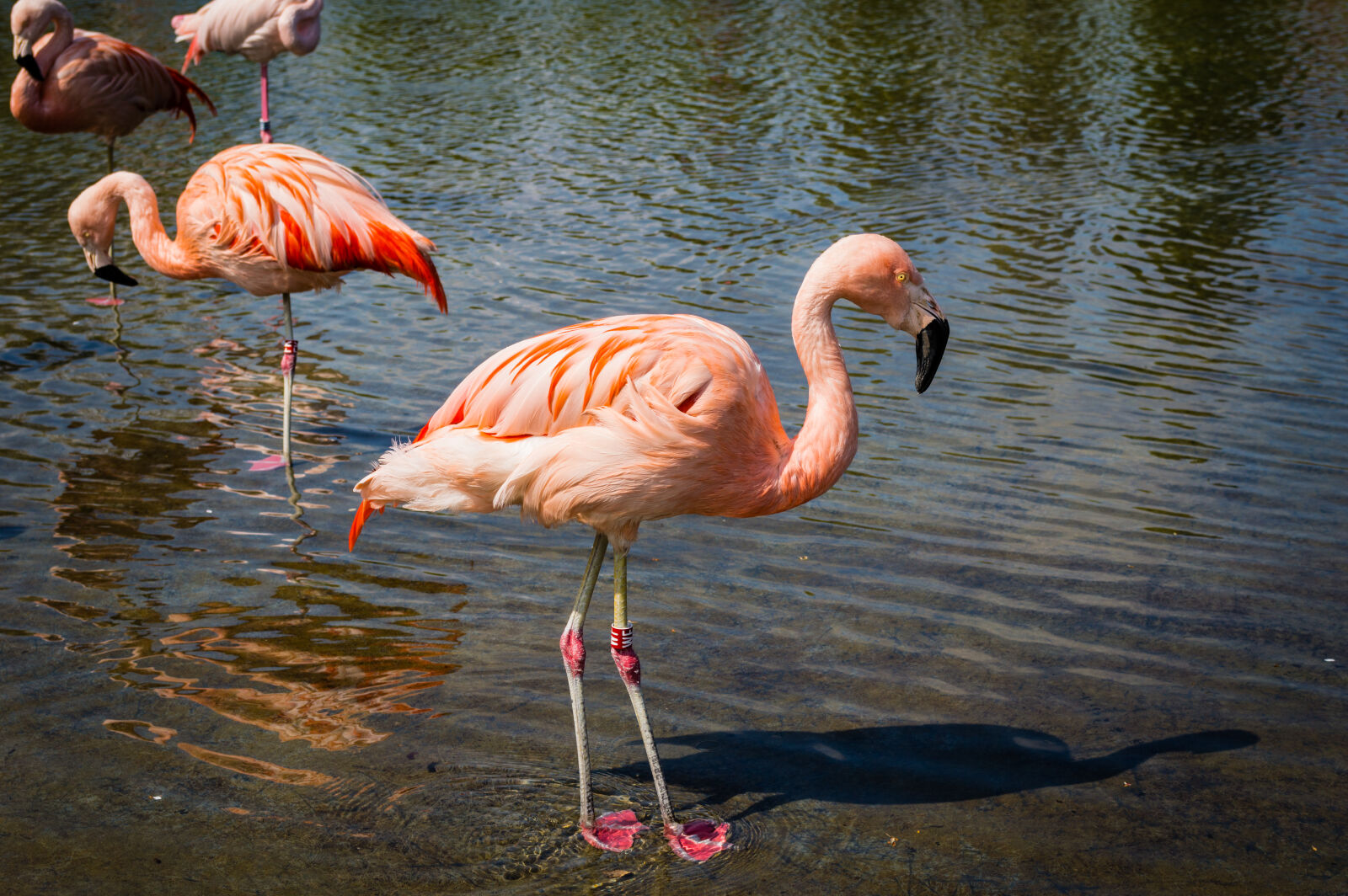 Nikon D3200 sample photo
