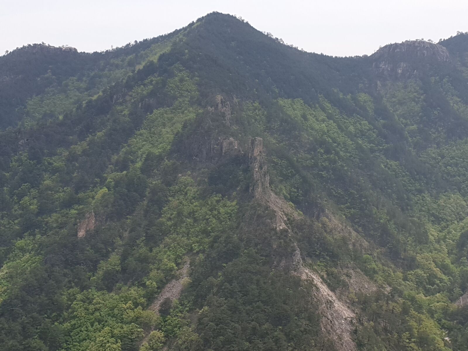 Samsung Galaxy Note9 sample photo. Mountian, tree, sky photography