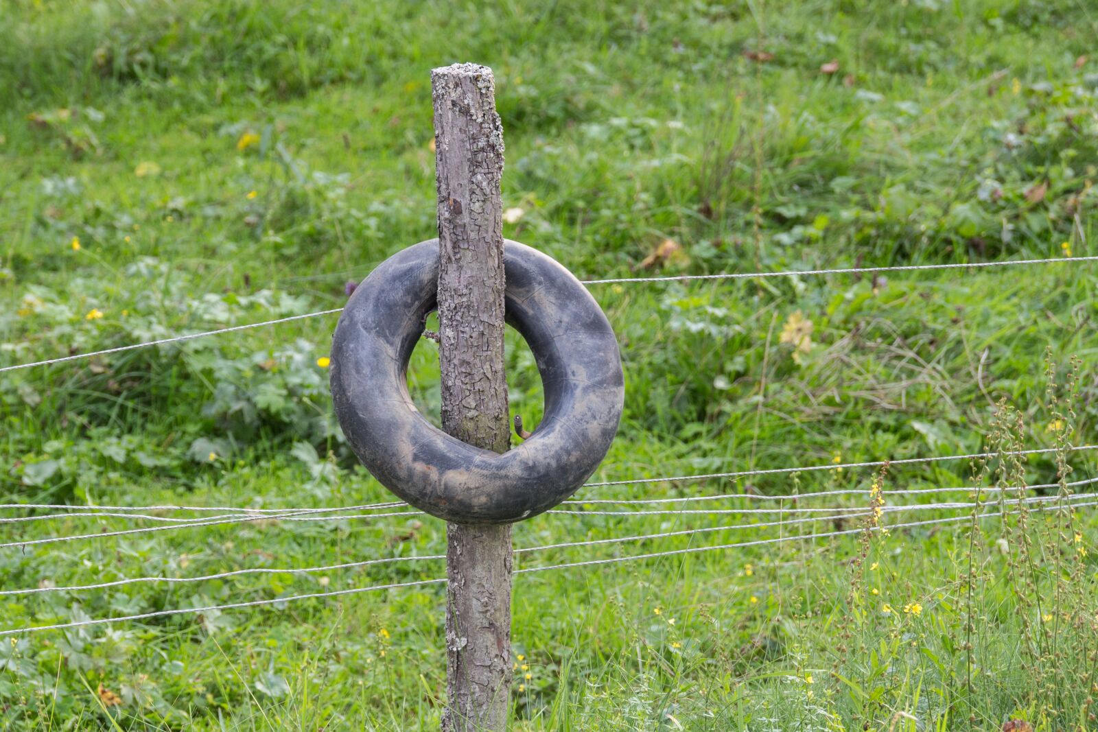 Canon EOS 700D (EOS Rebel T5i / EOS Kiss X7i) sample photo. Pasture fence, mature, hose photography